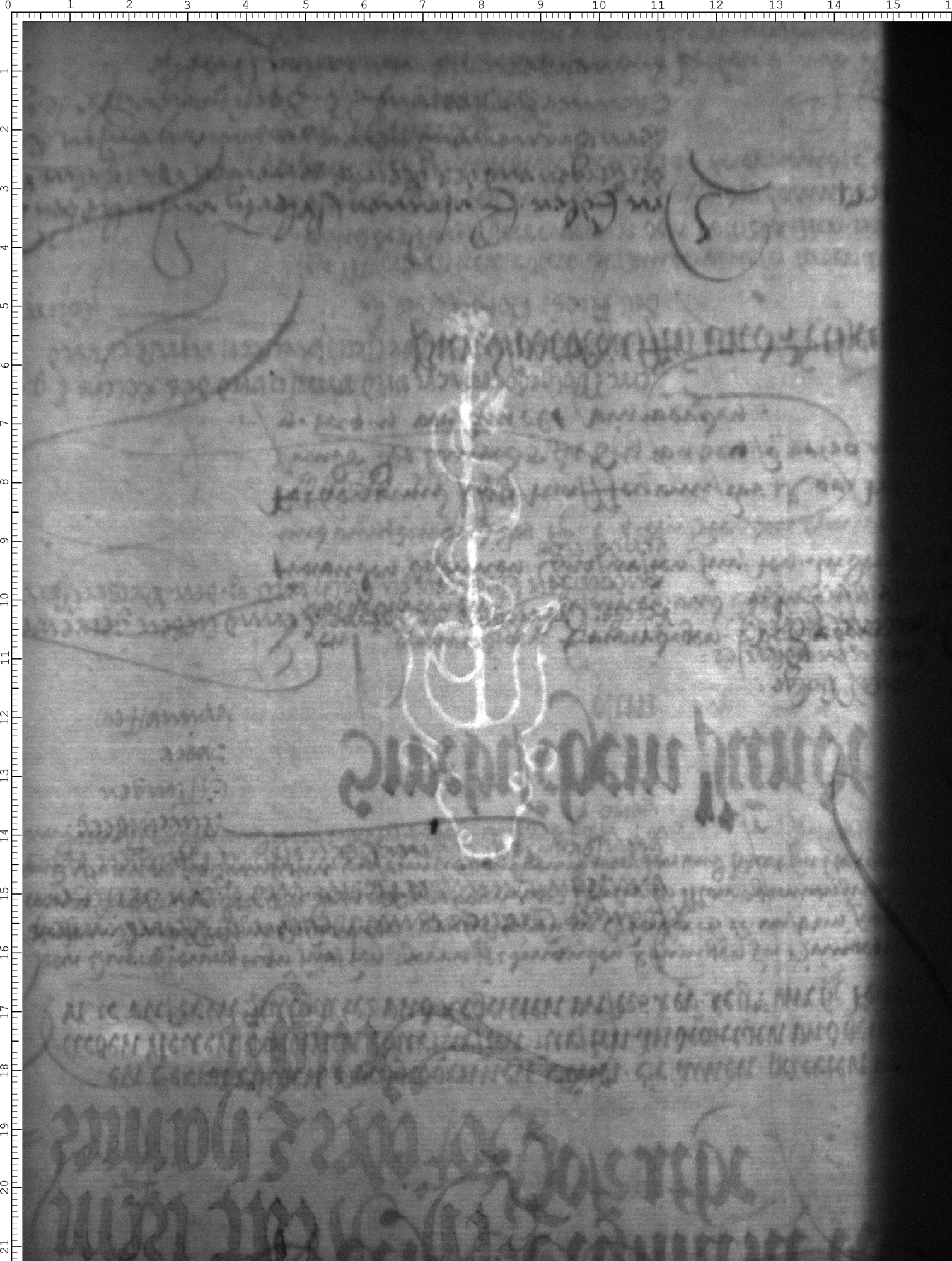 Watermark
