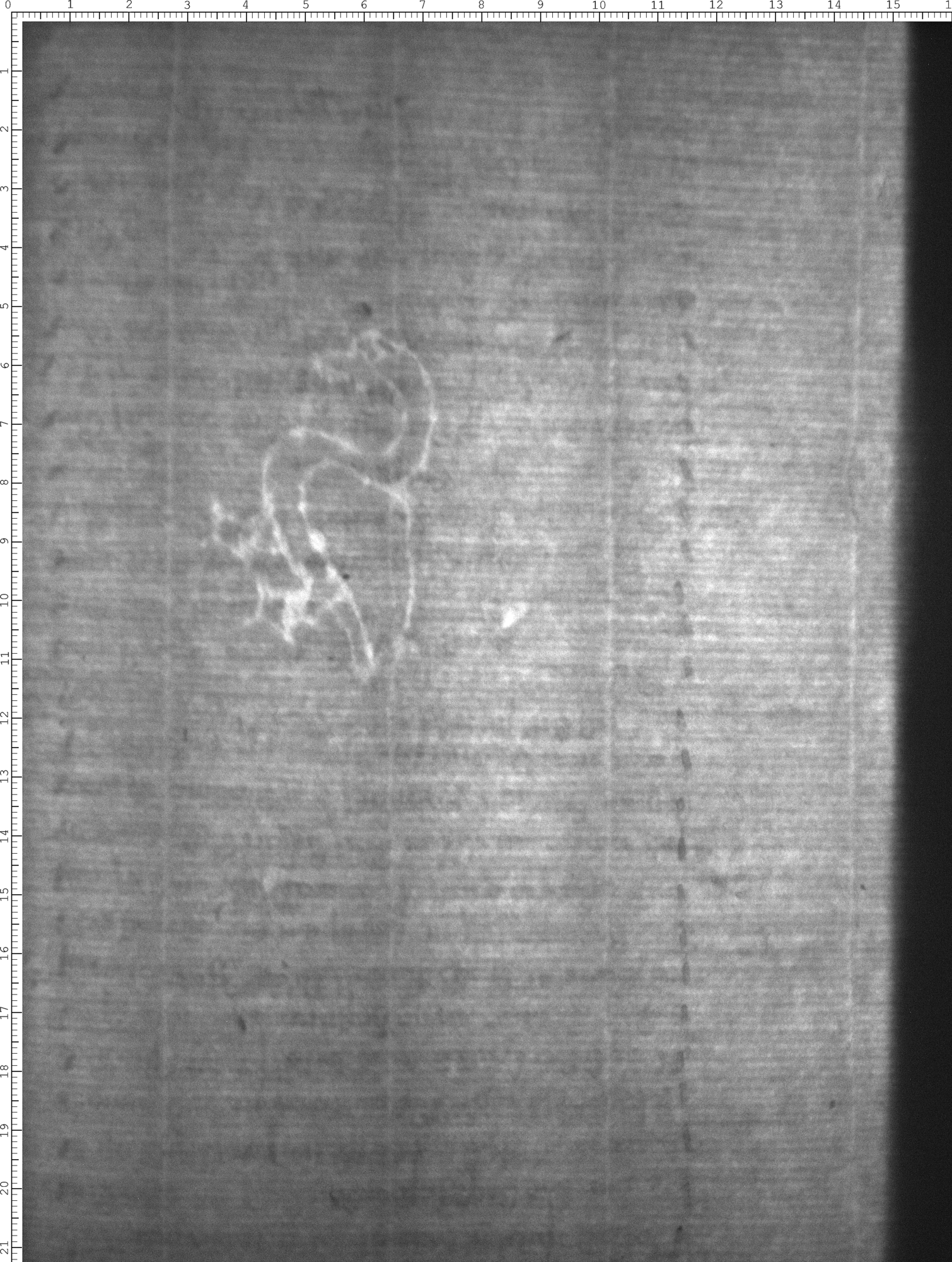 Watermark
