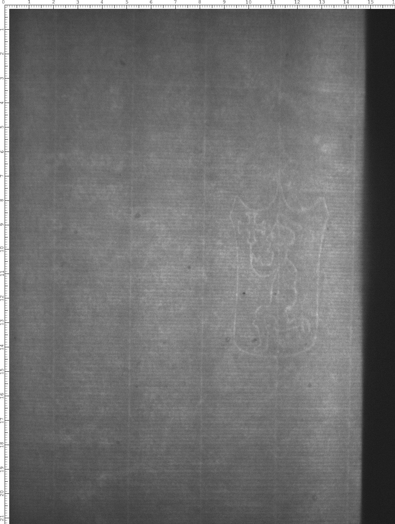 Watermark