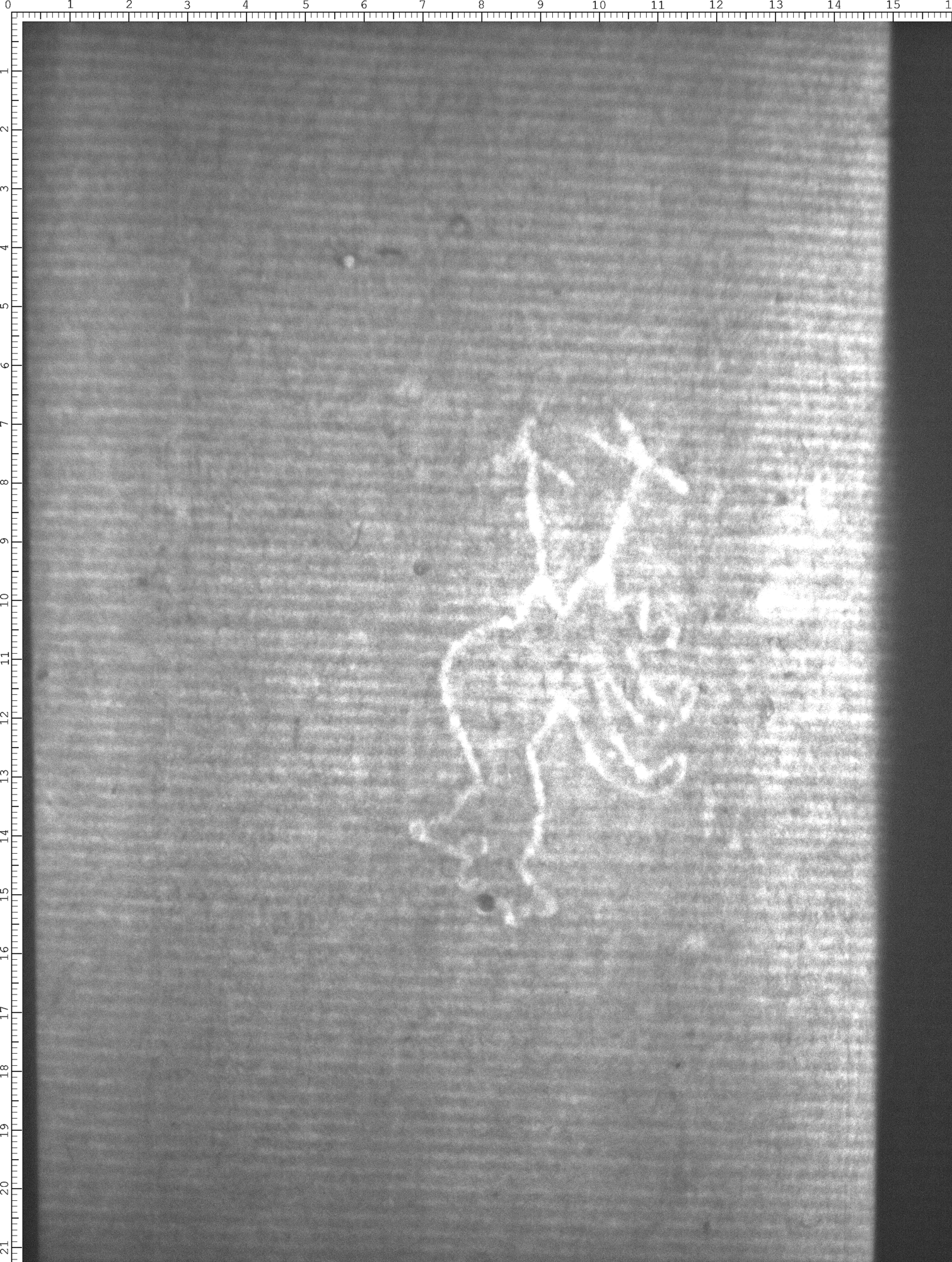 Watermark