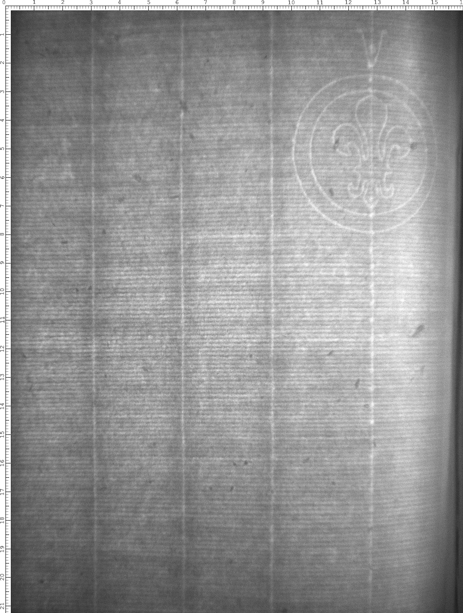 Watermark