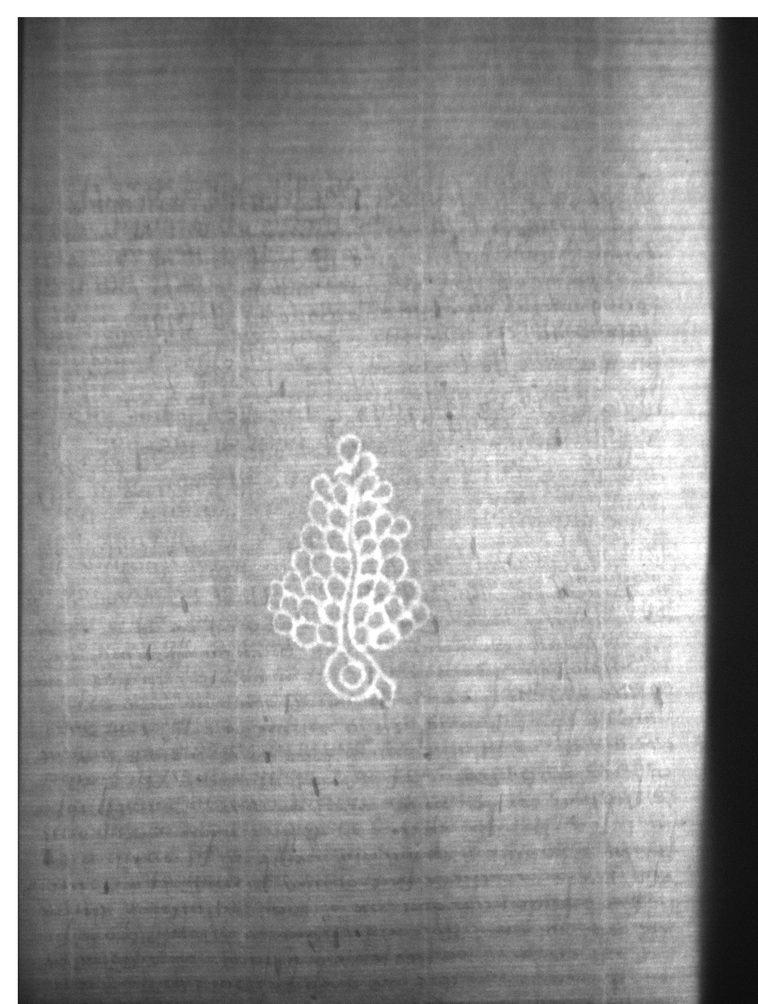Watermark