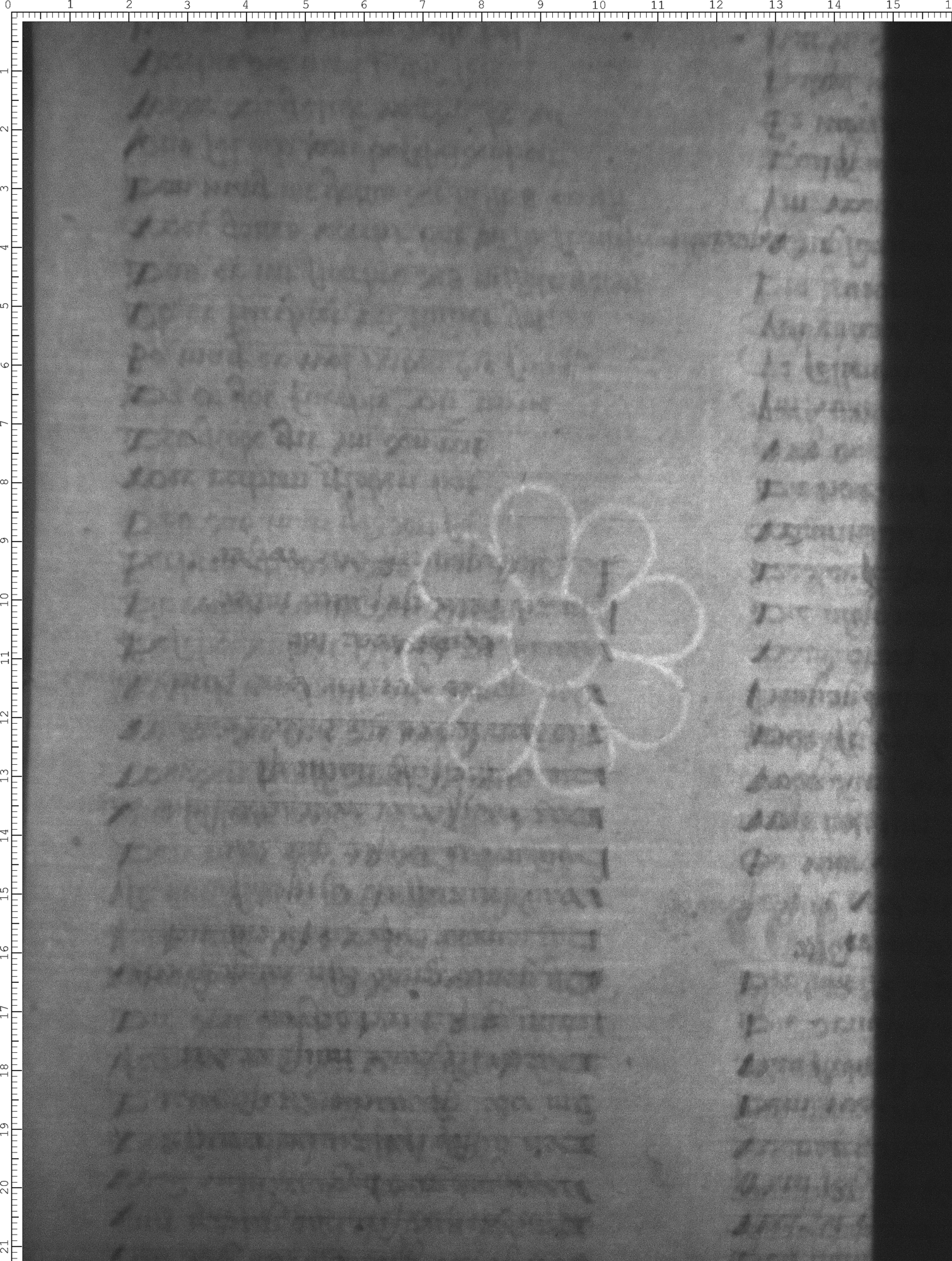 Watermark