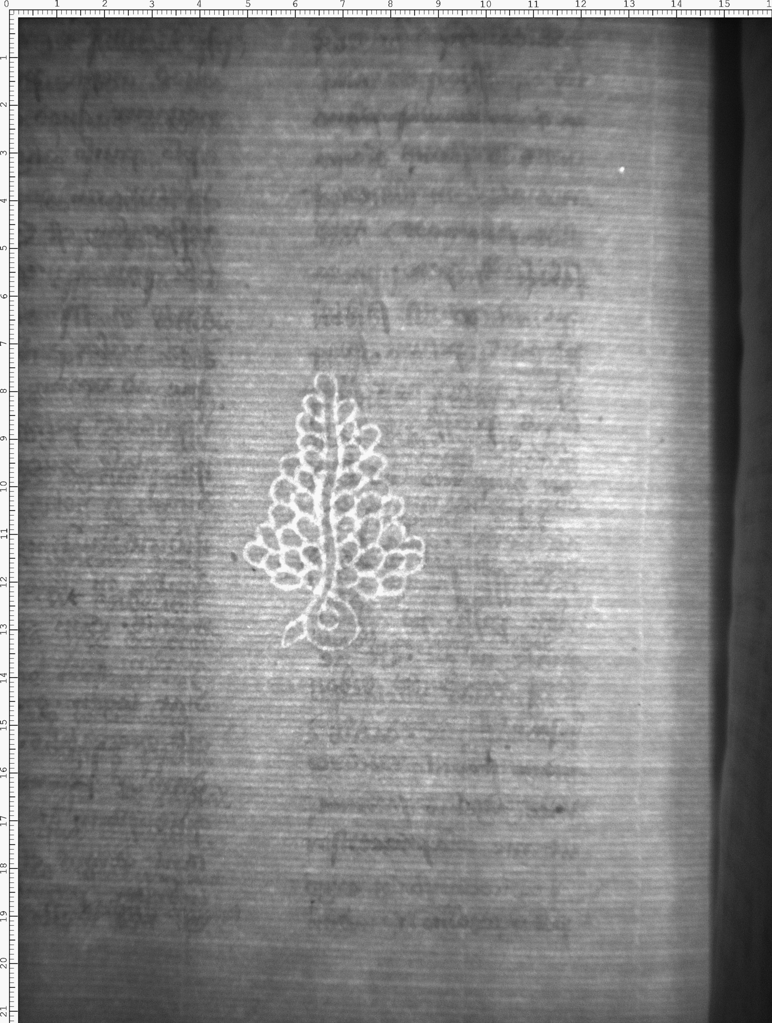 Watermark