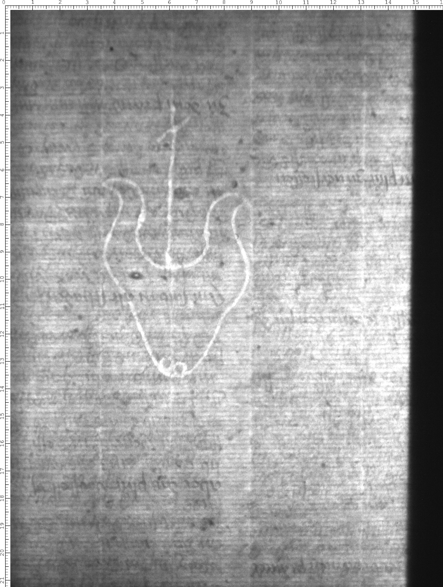 Watermark