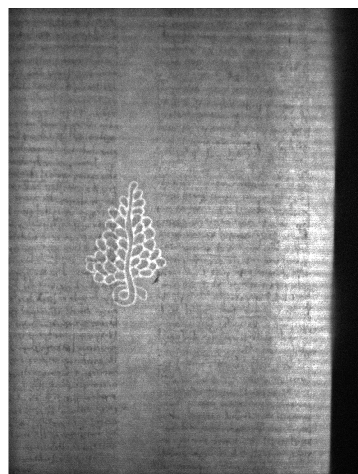 Watermark