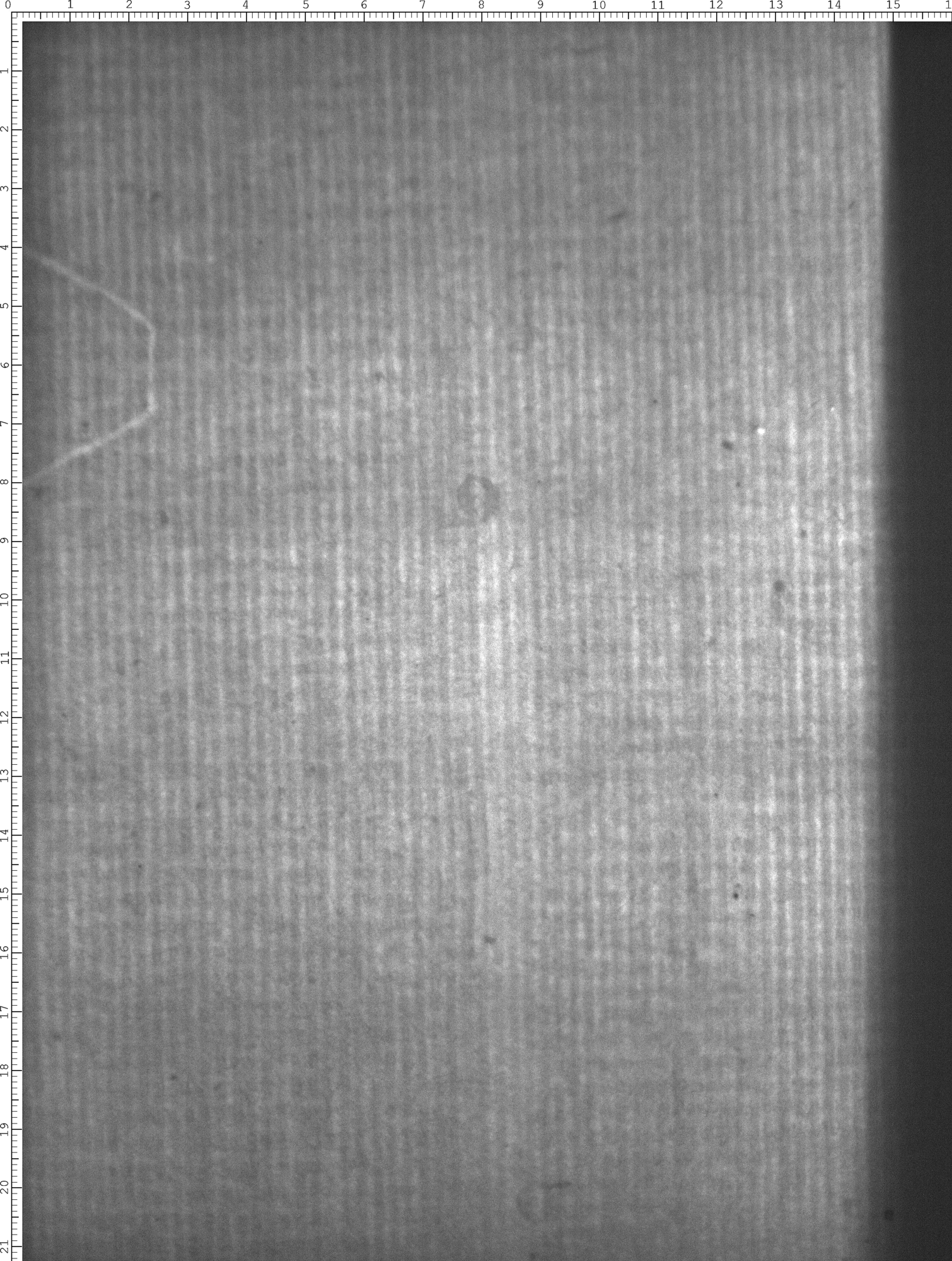 Watermark
