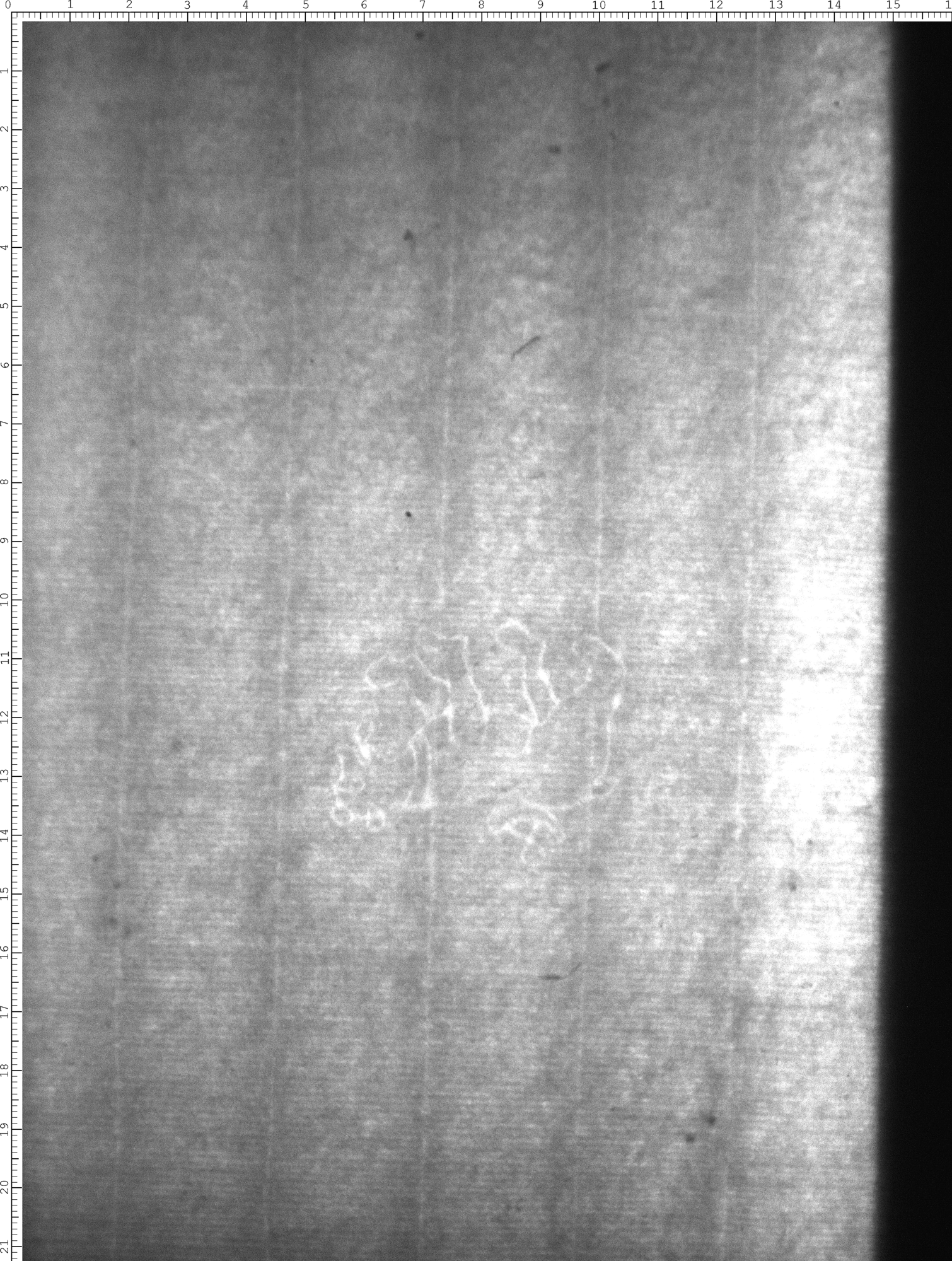 Watermark