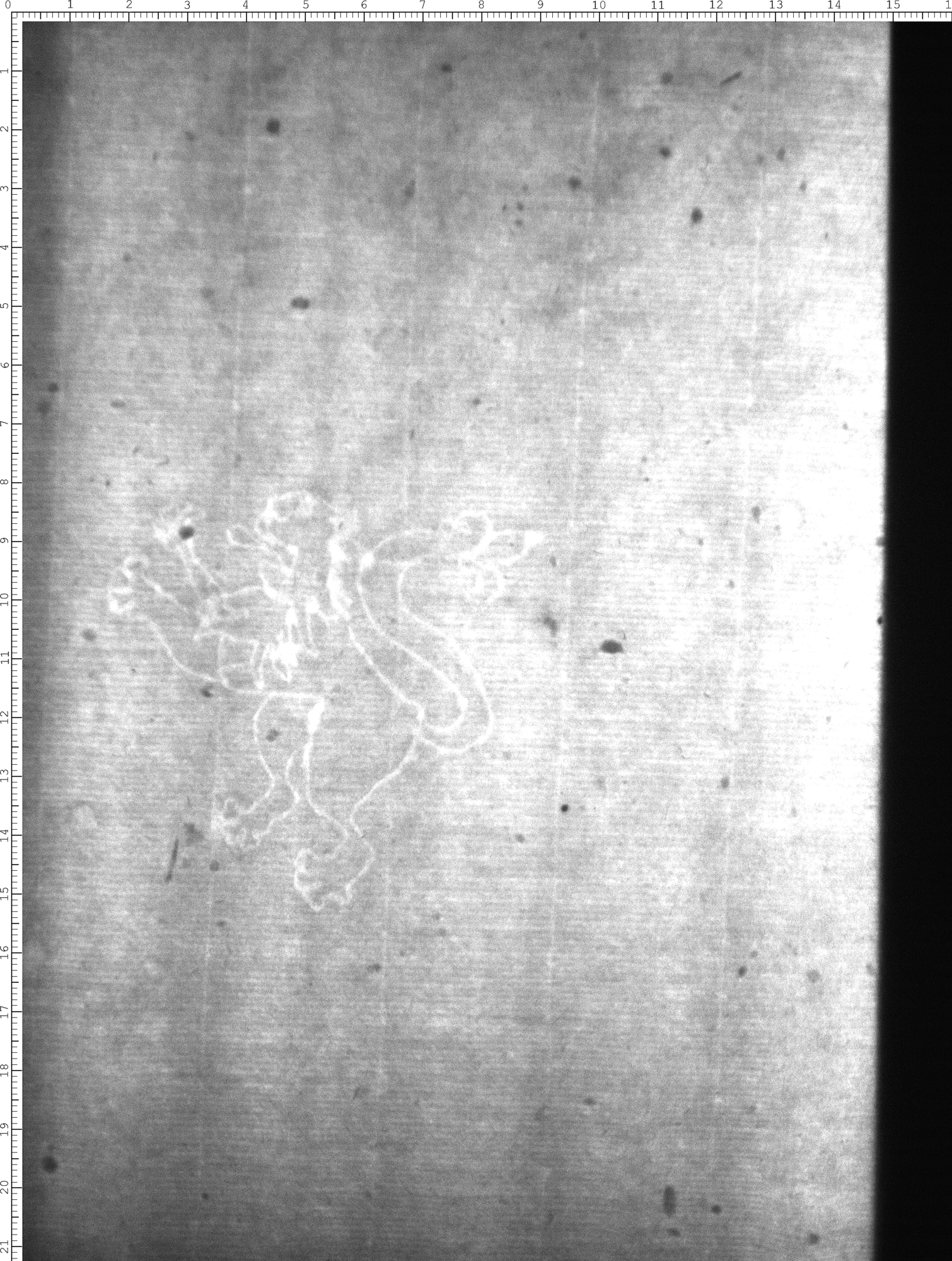 Watermark