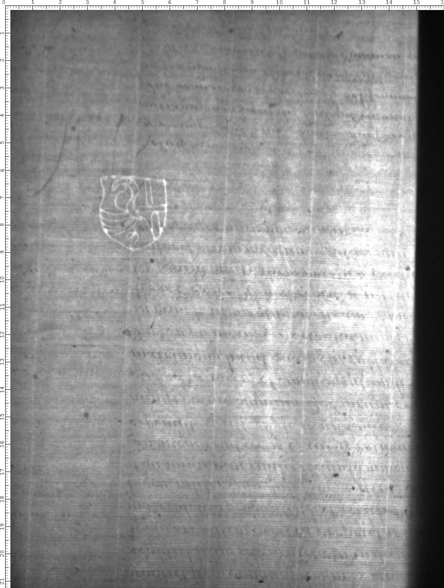 Watermark