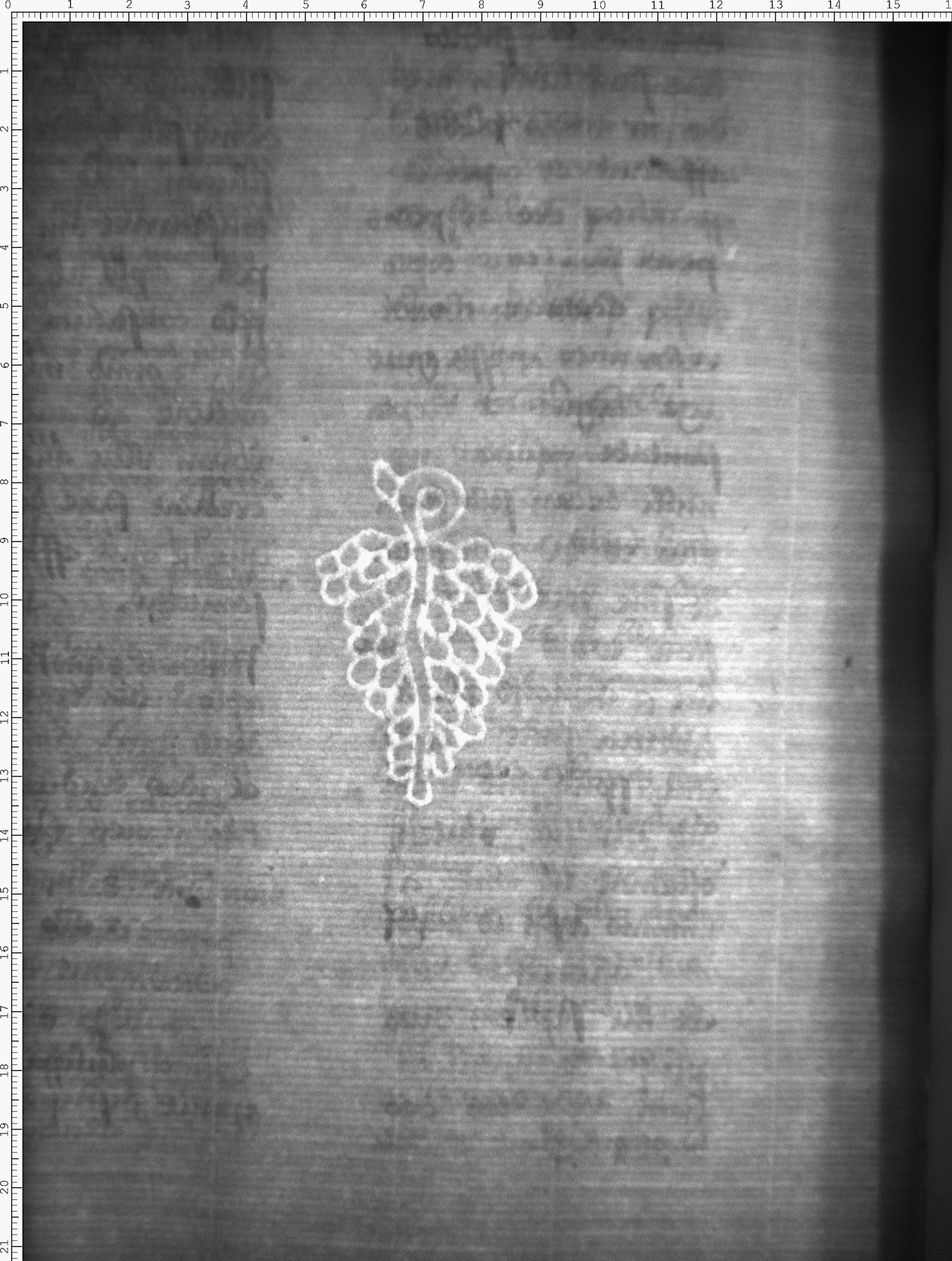 Watermark