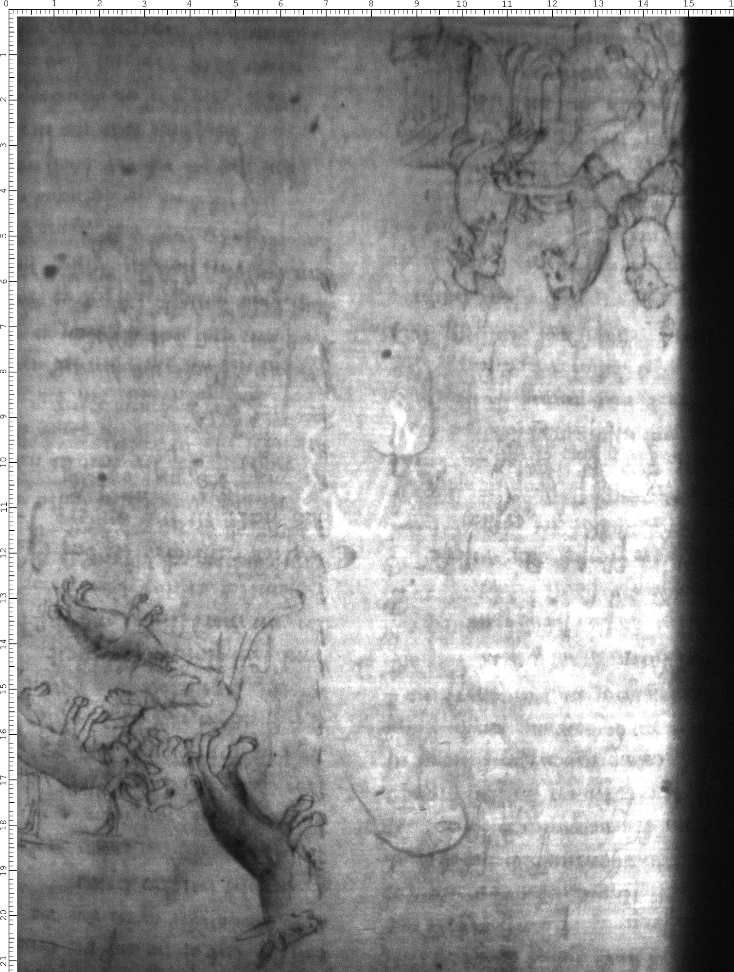 Watermark