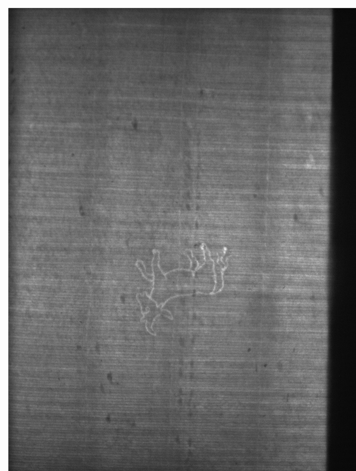 Watermark