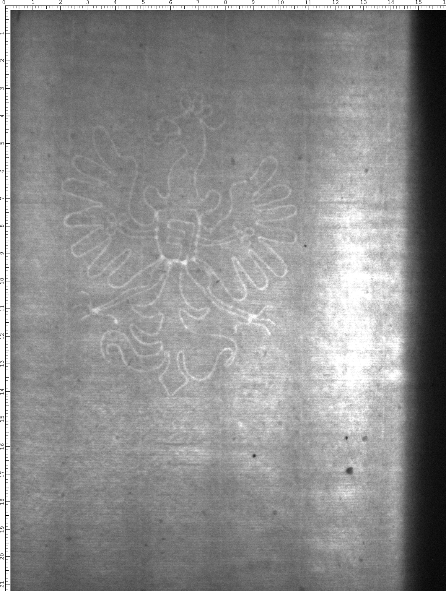 Watermark