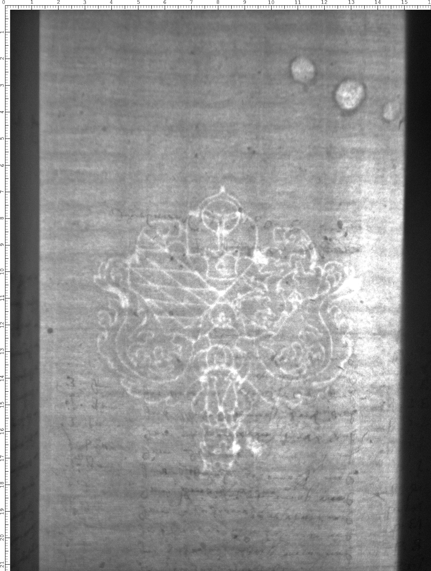 Watermark