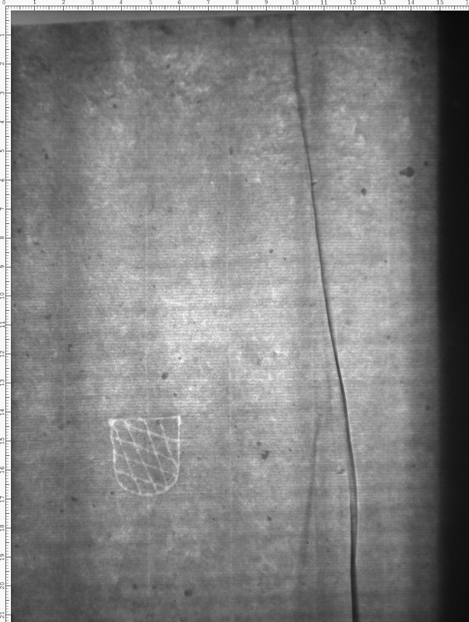 Watermark