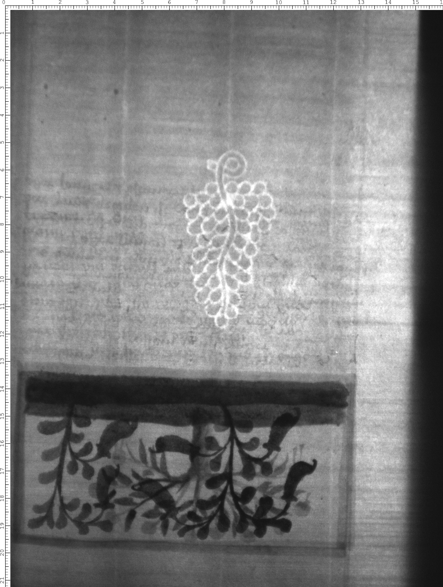Watermark