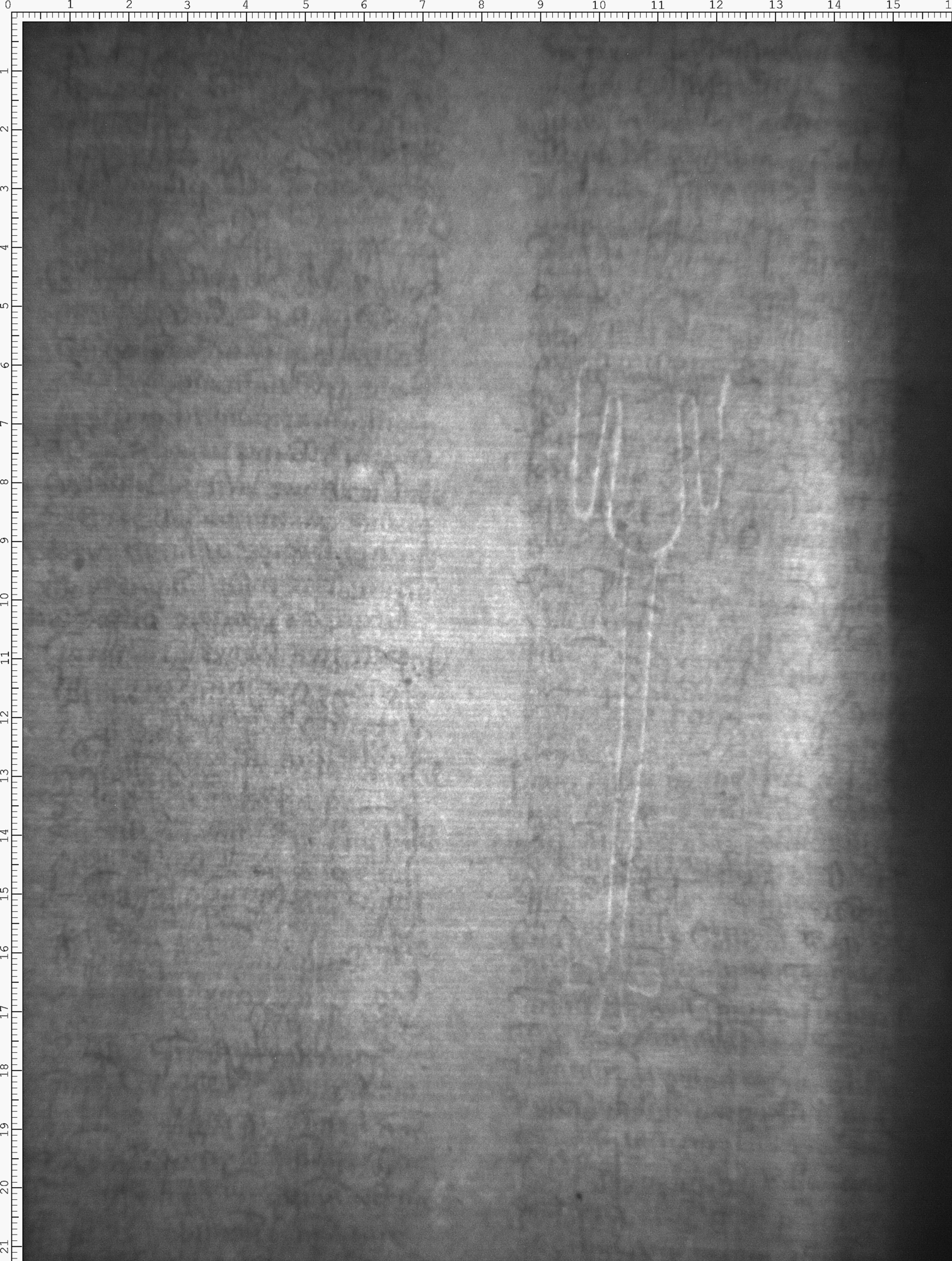 Watermark