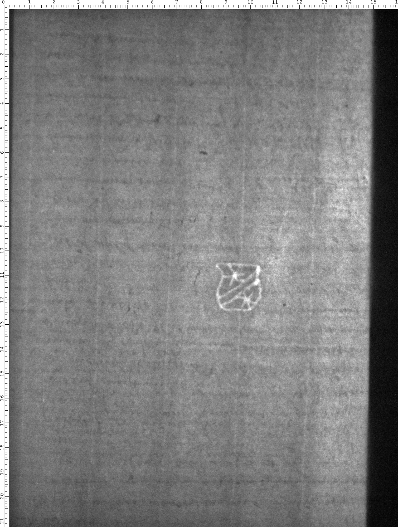 Watermark
