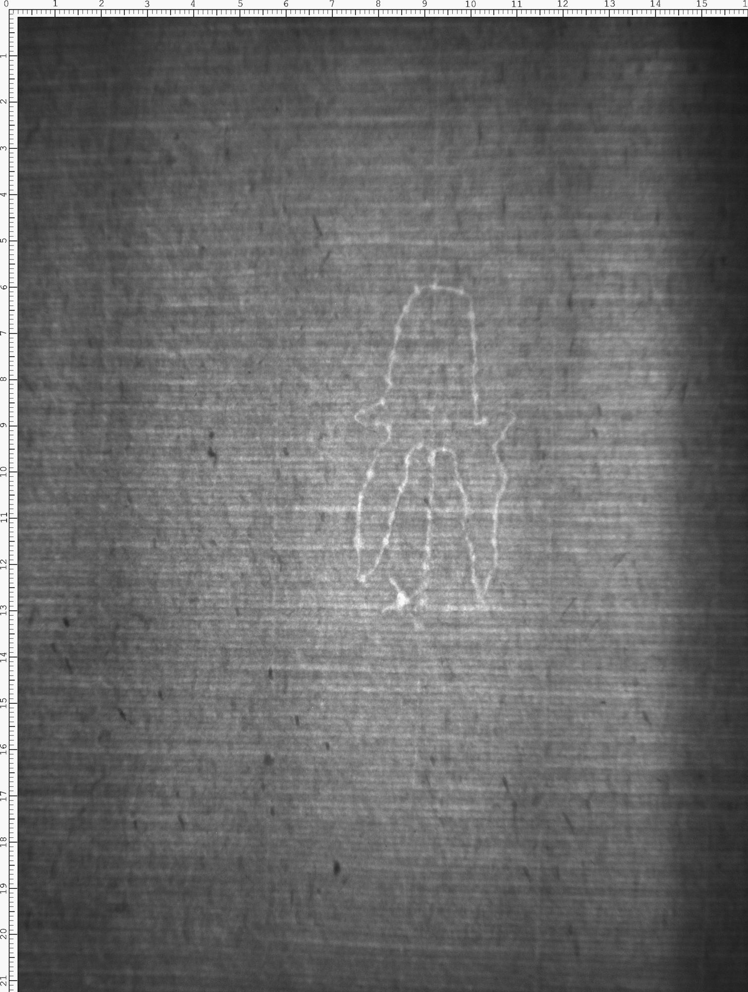 Watermark