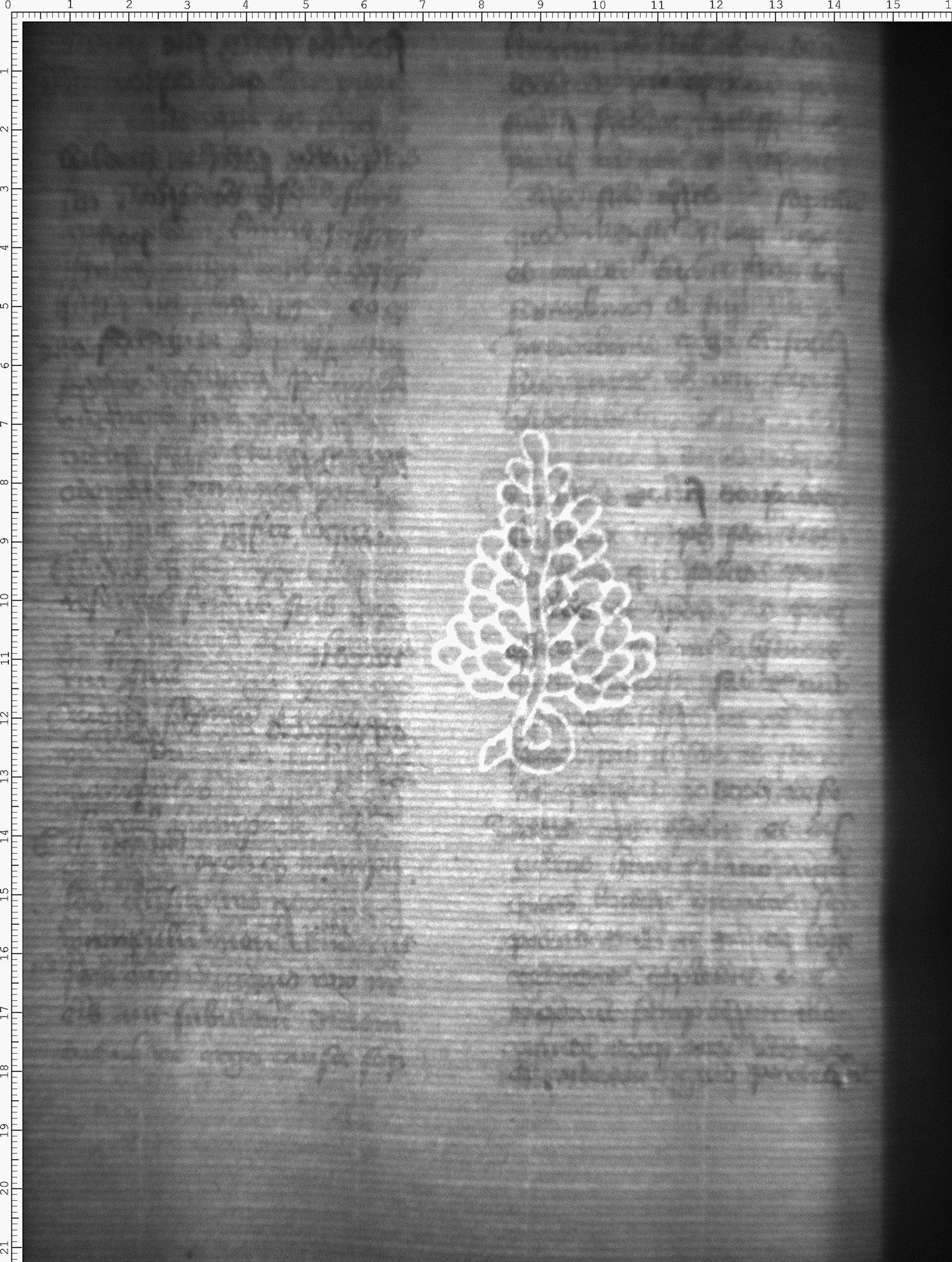 Watermark