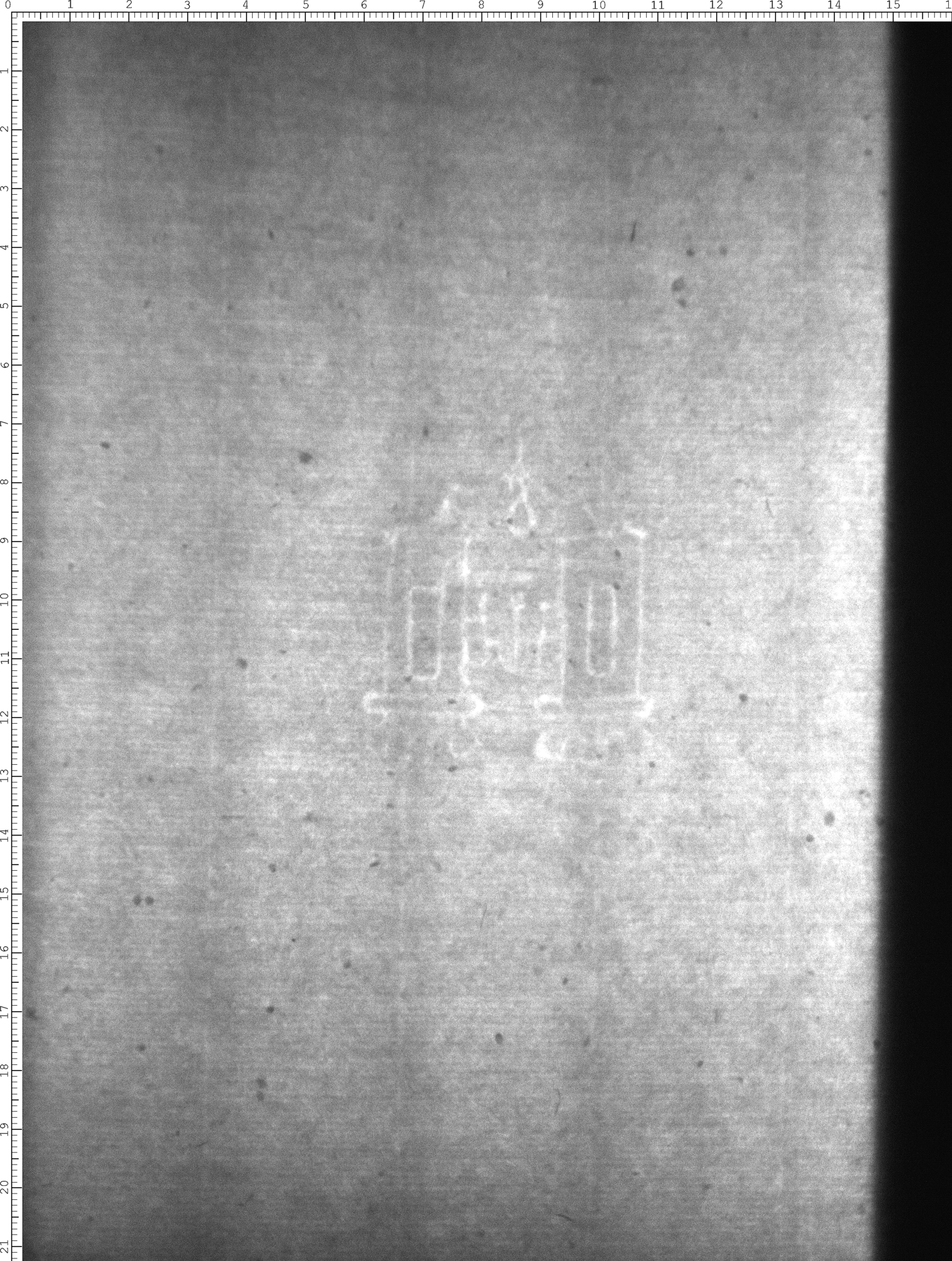 Watermark