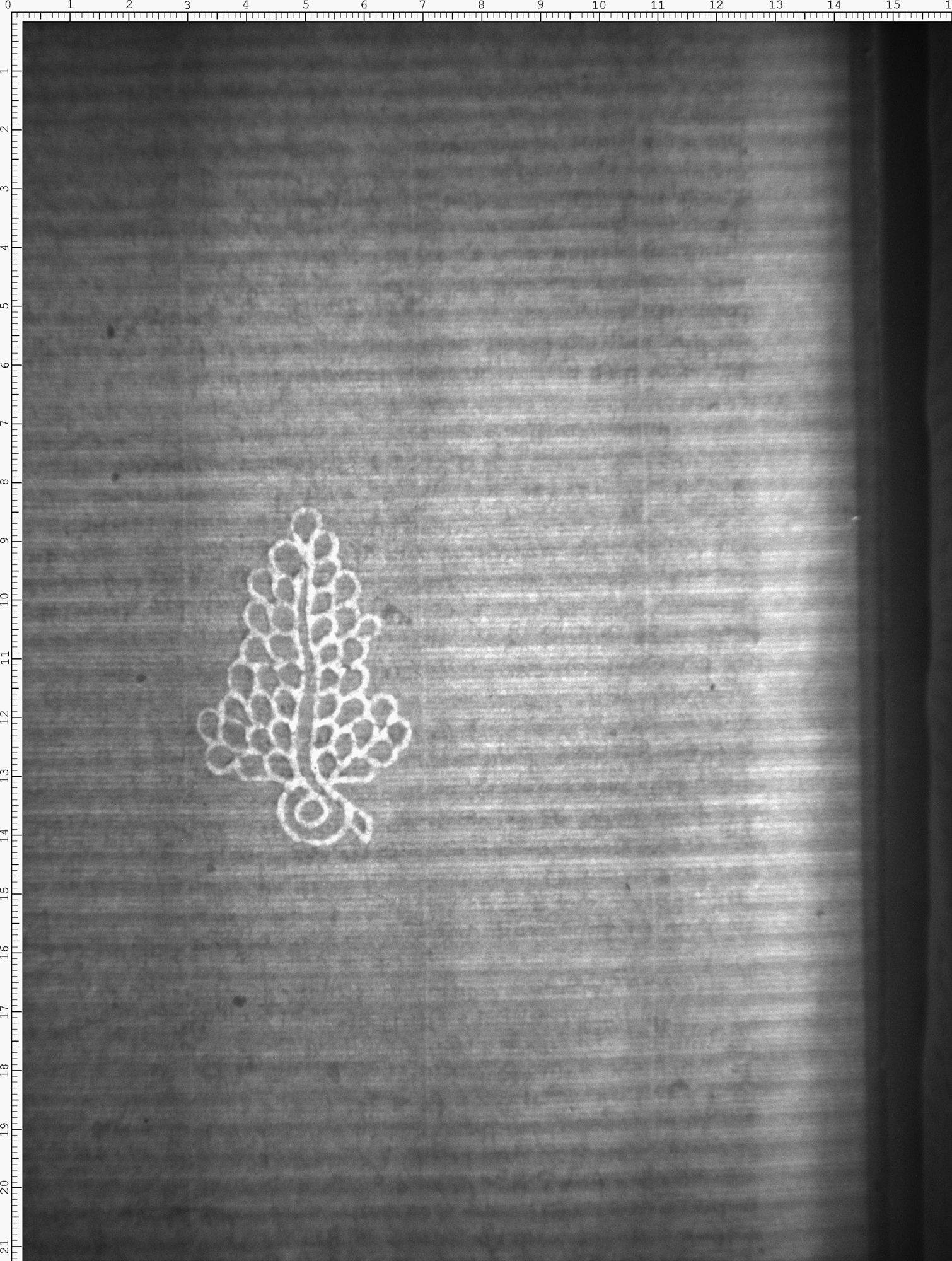 Watermark