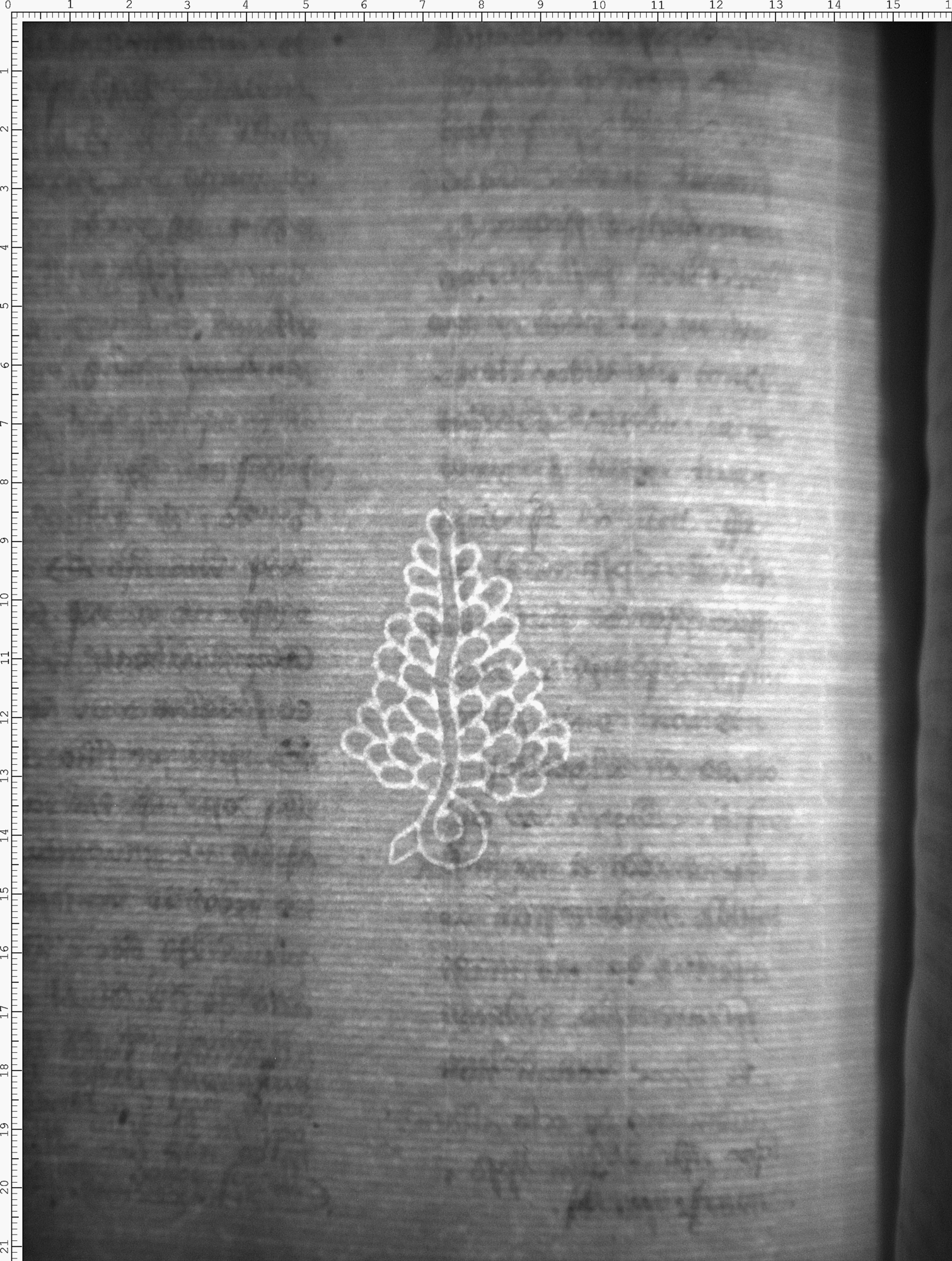 Watermark