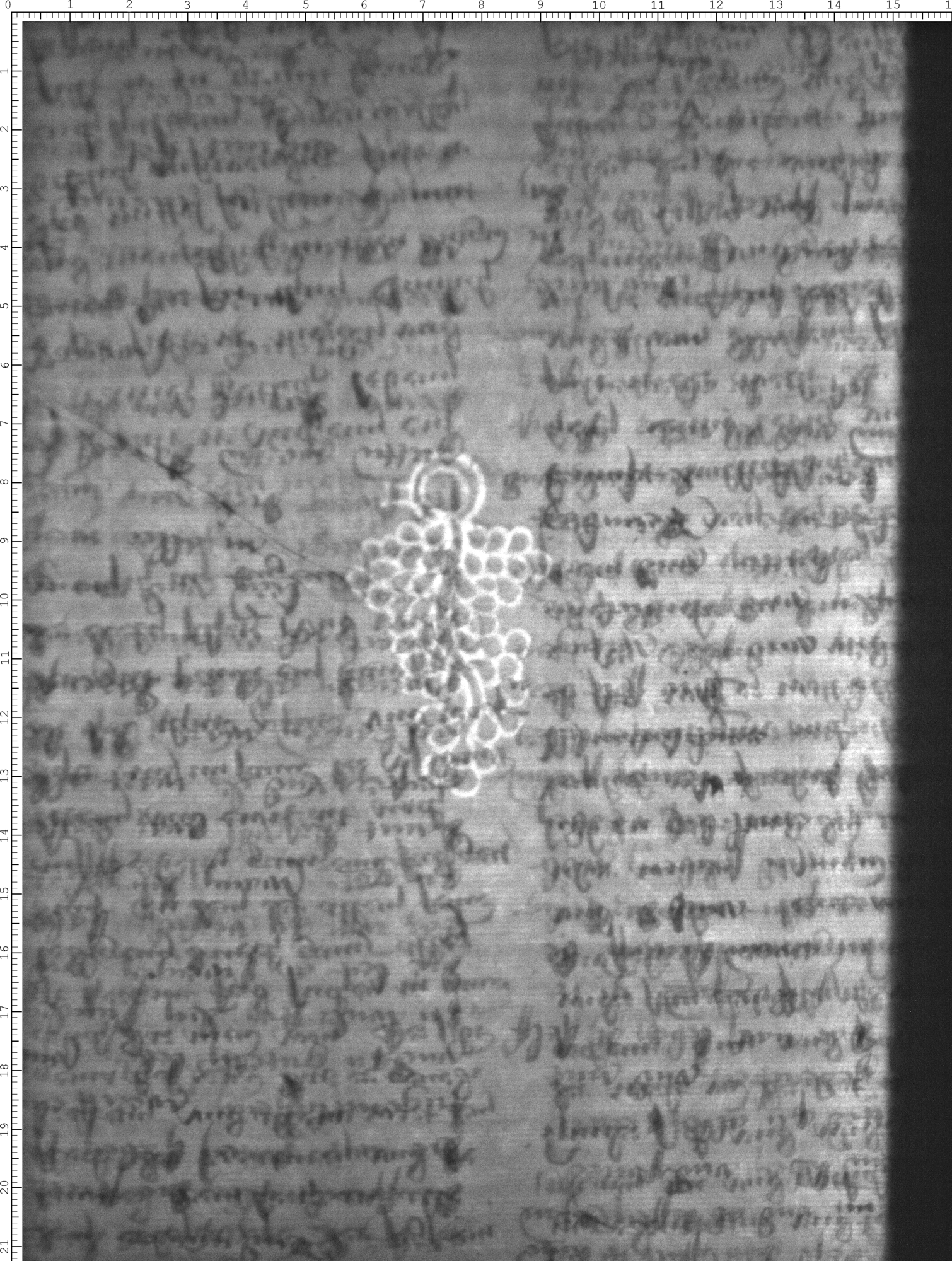 Watermark