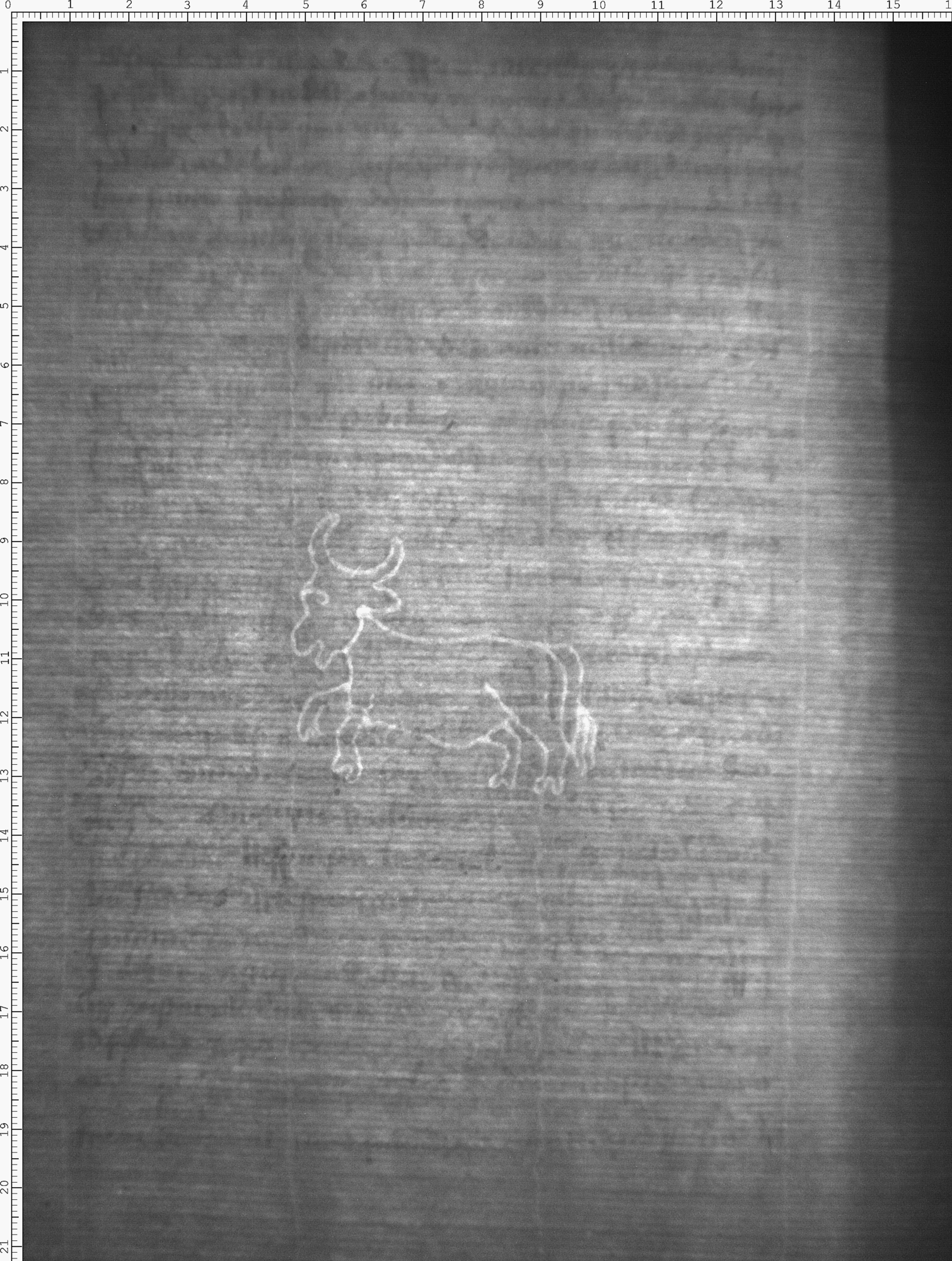 Watermark