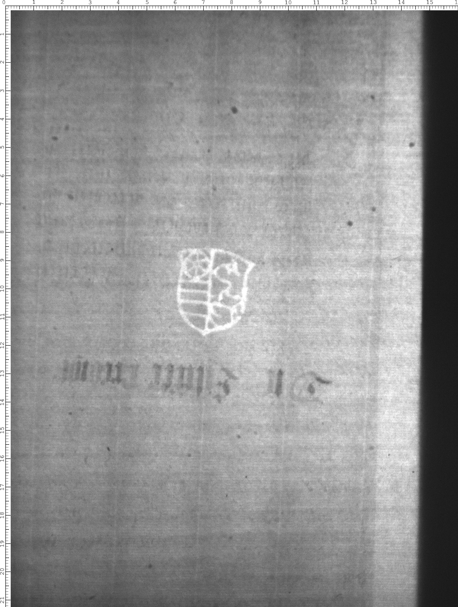 Watermark
