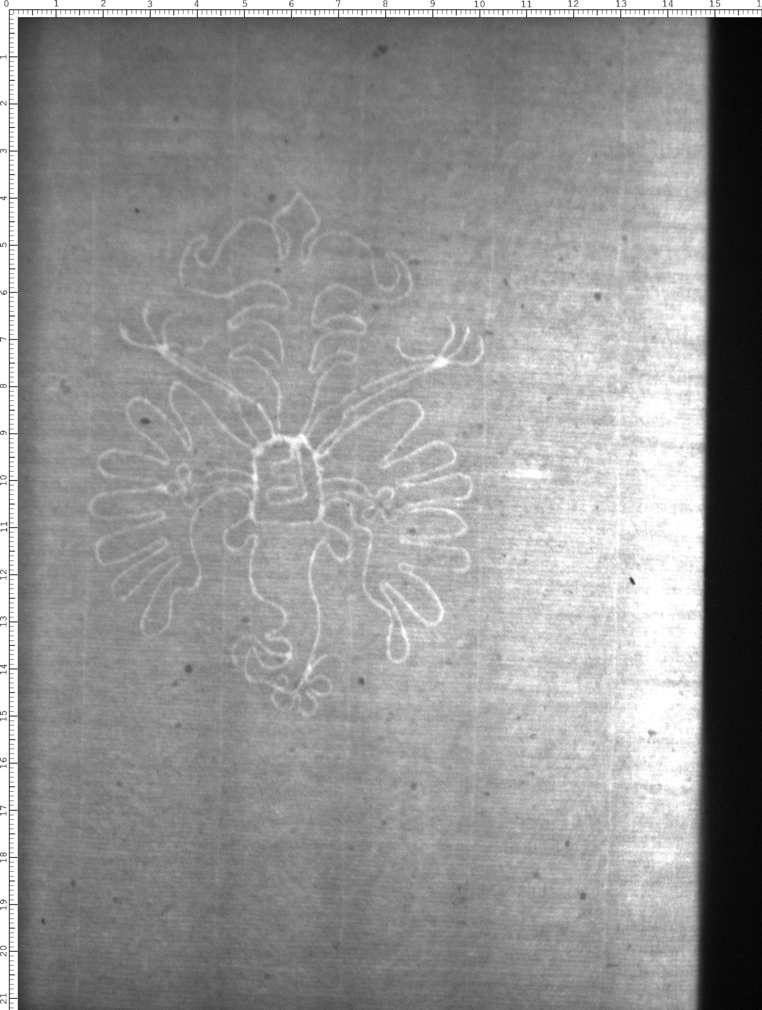 Watermark