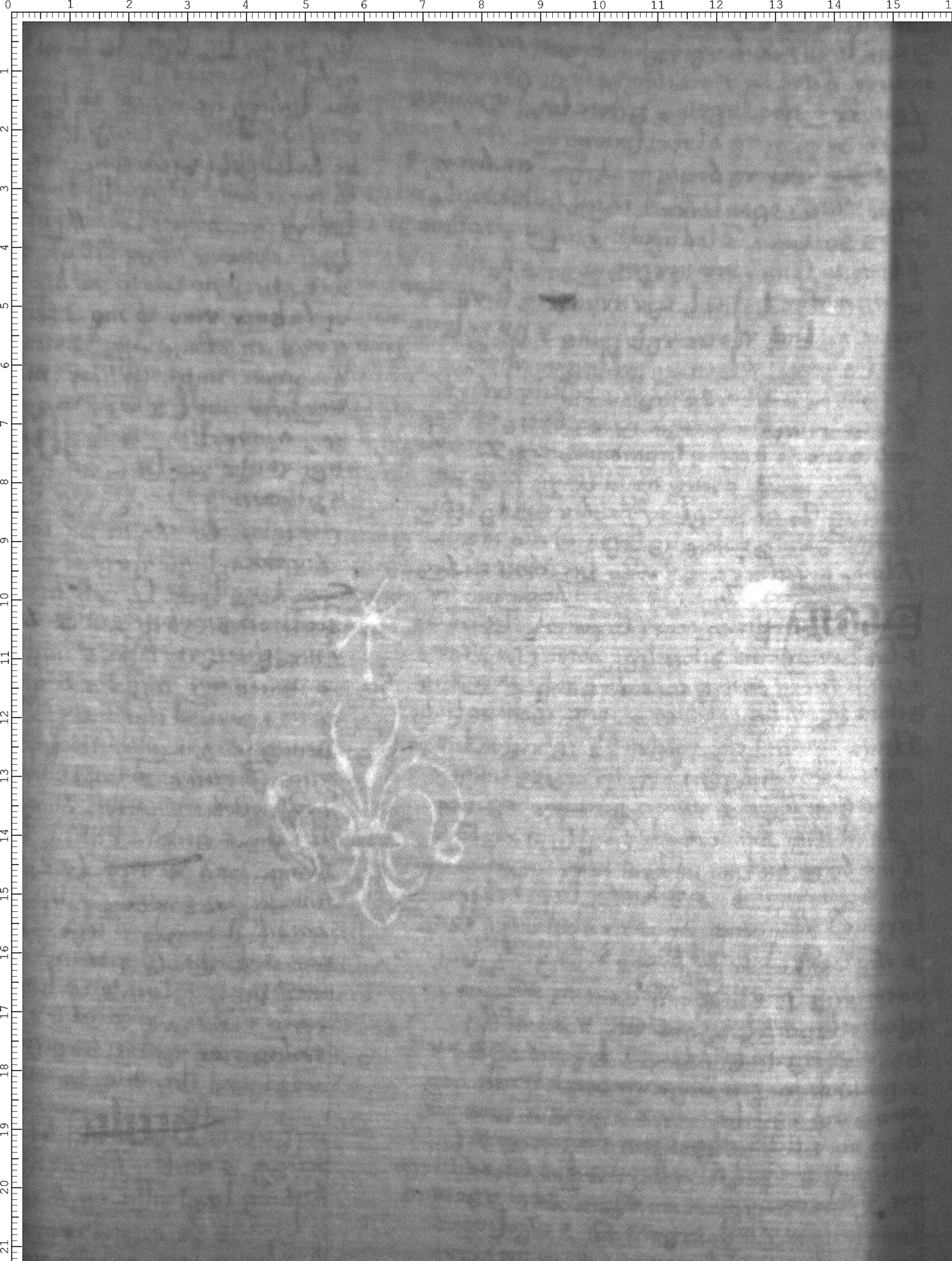 Watermark
