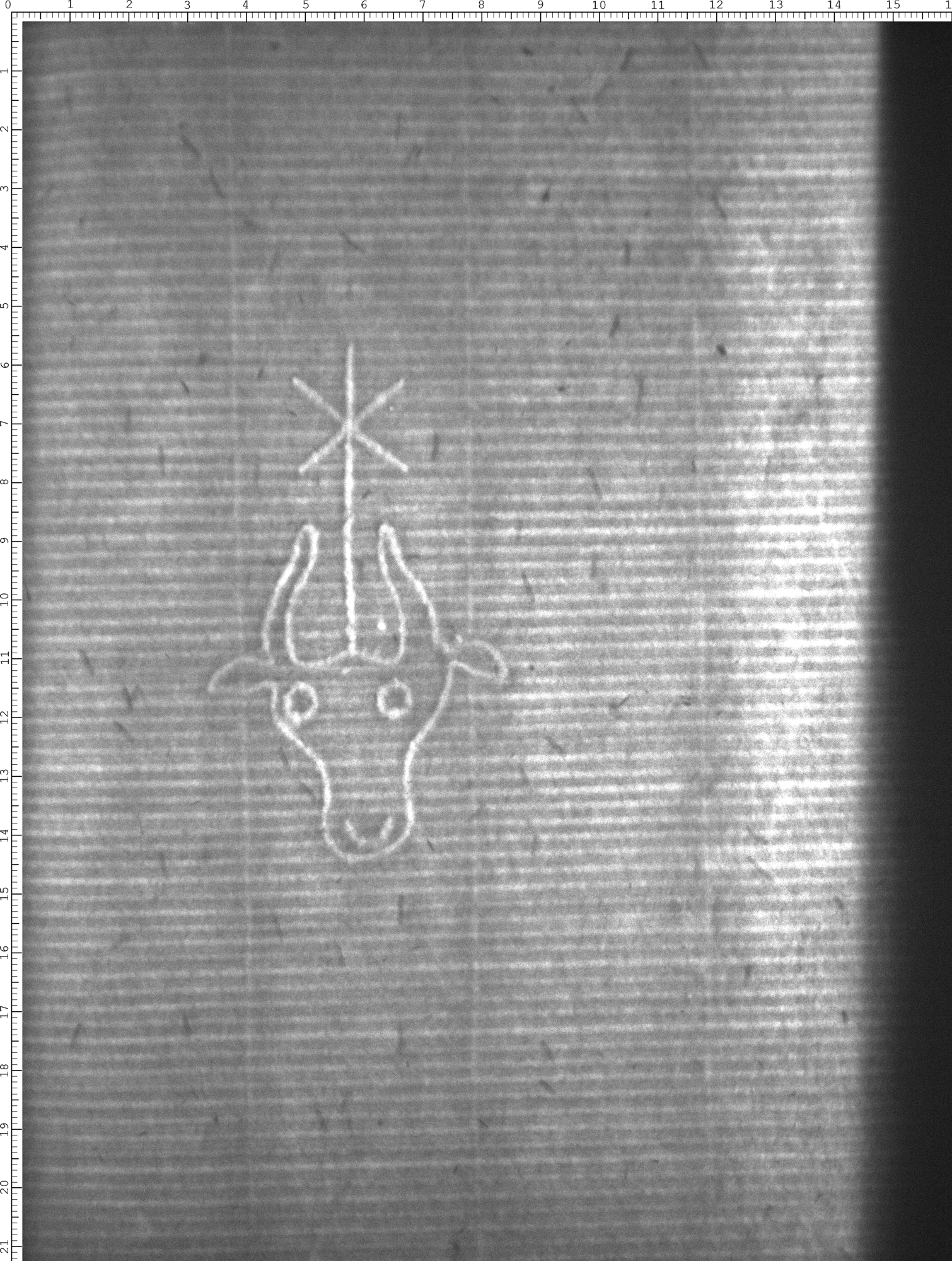 Watermark