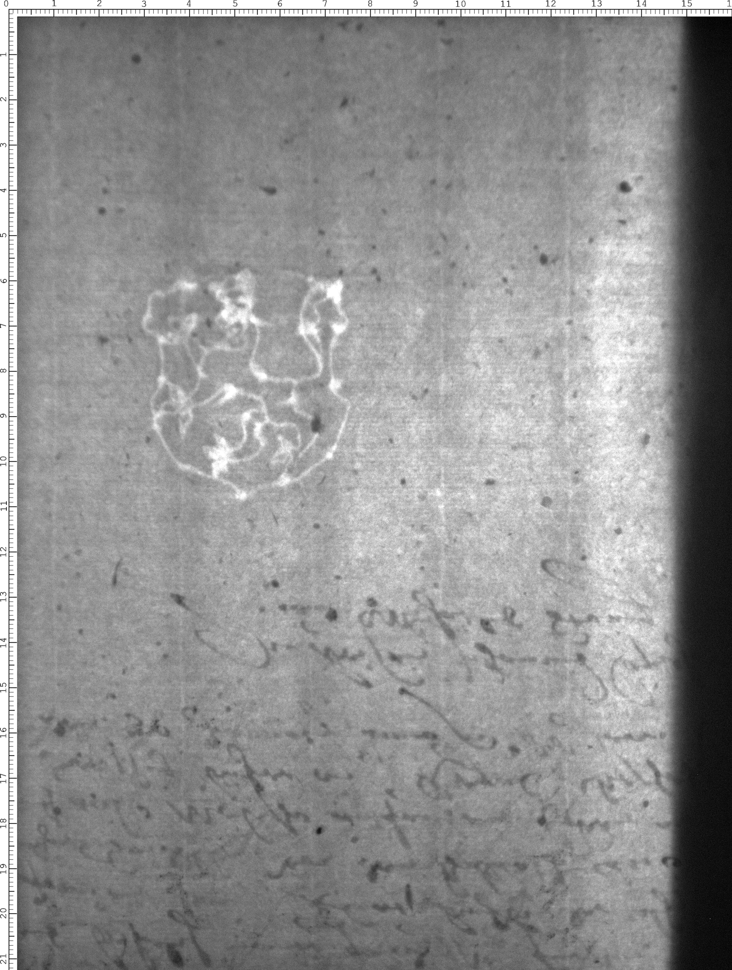 Watermark