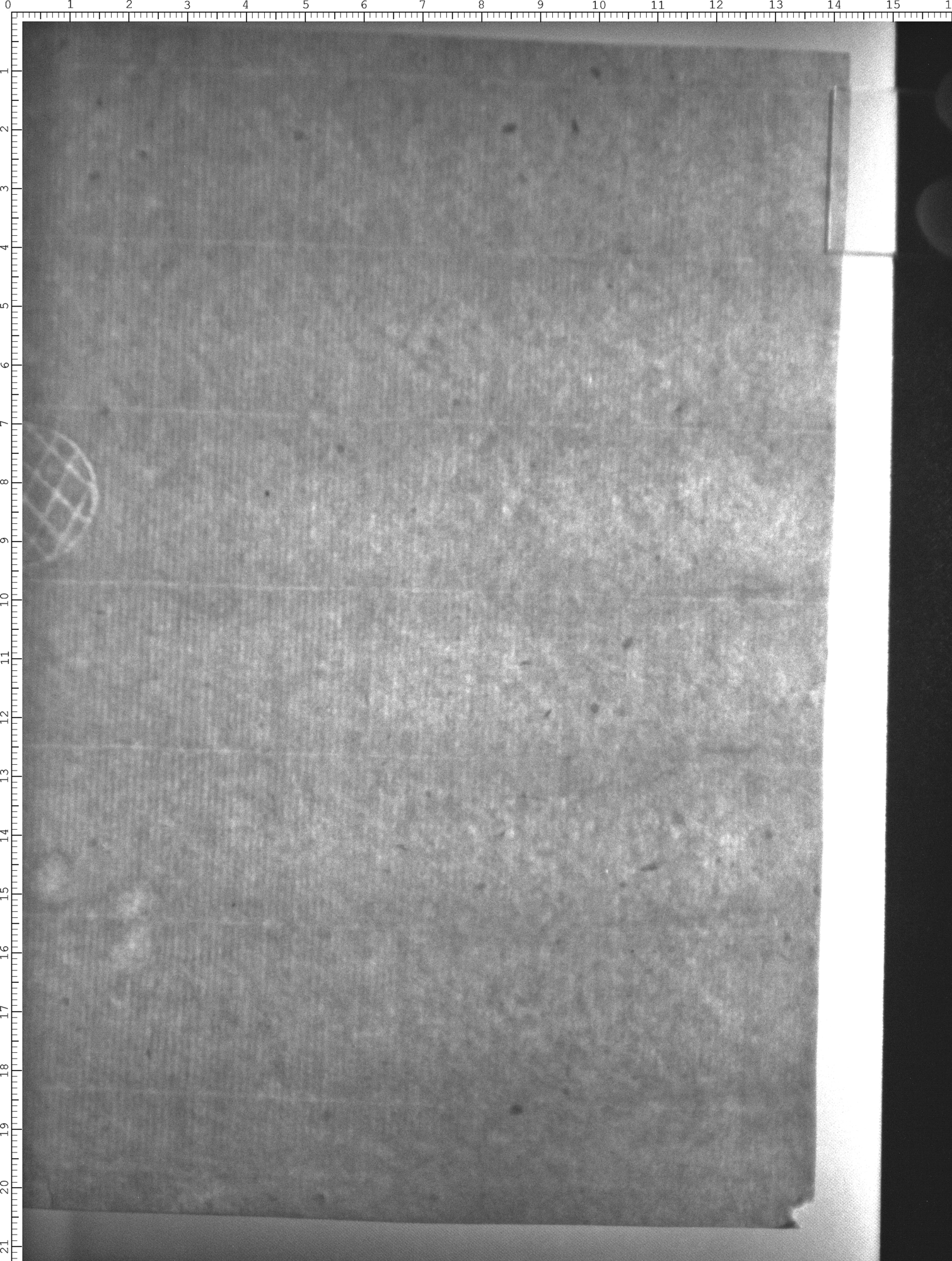 Watermark