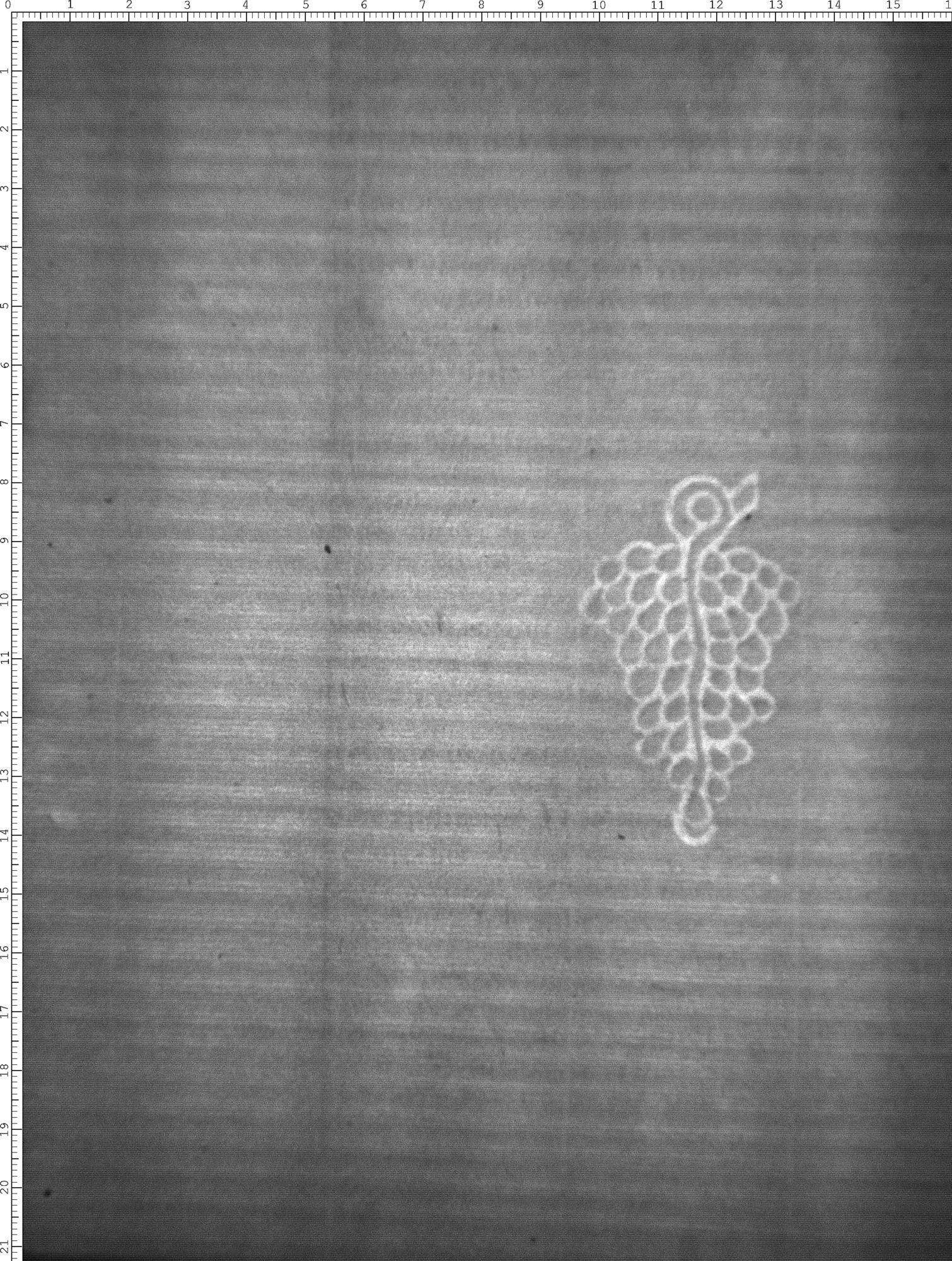 Watermark