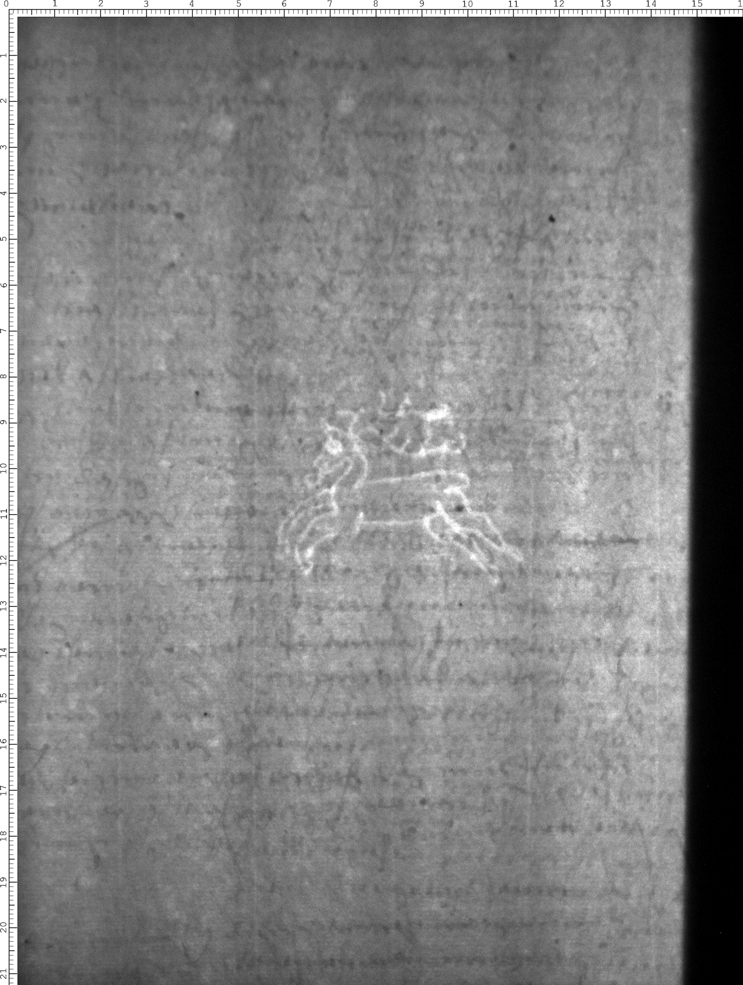 Watermark