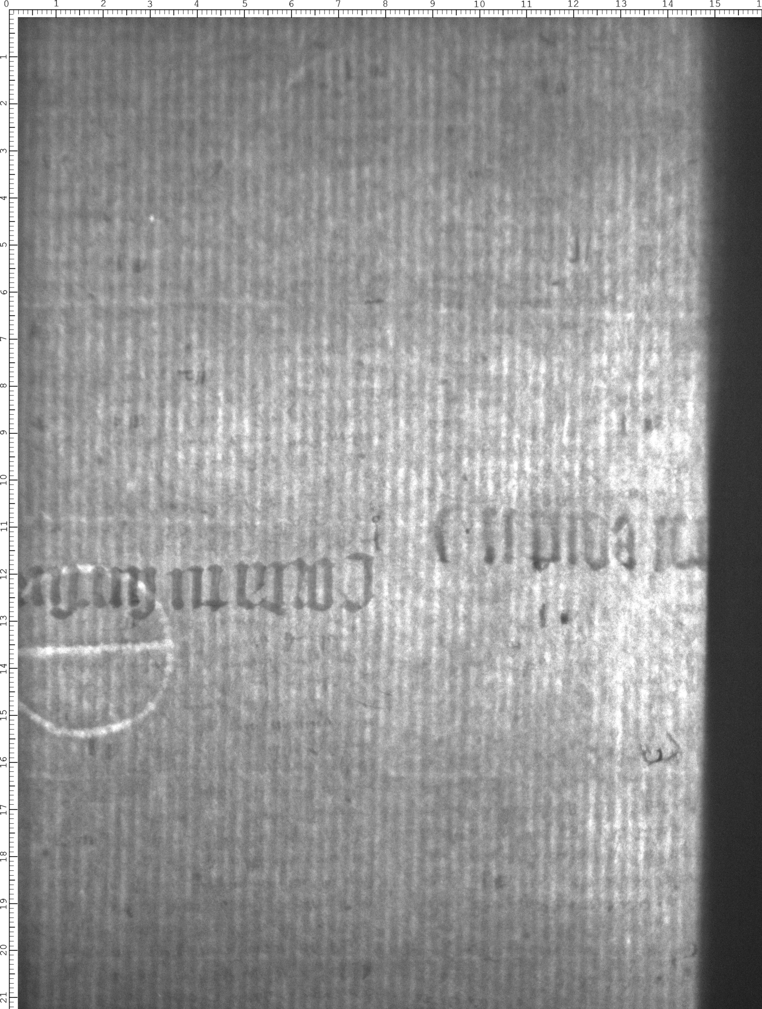 Watermark