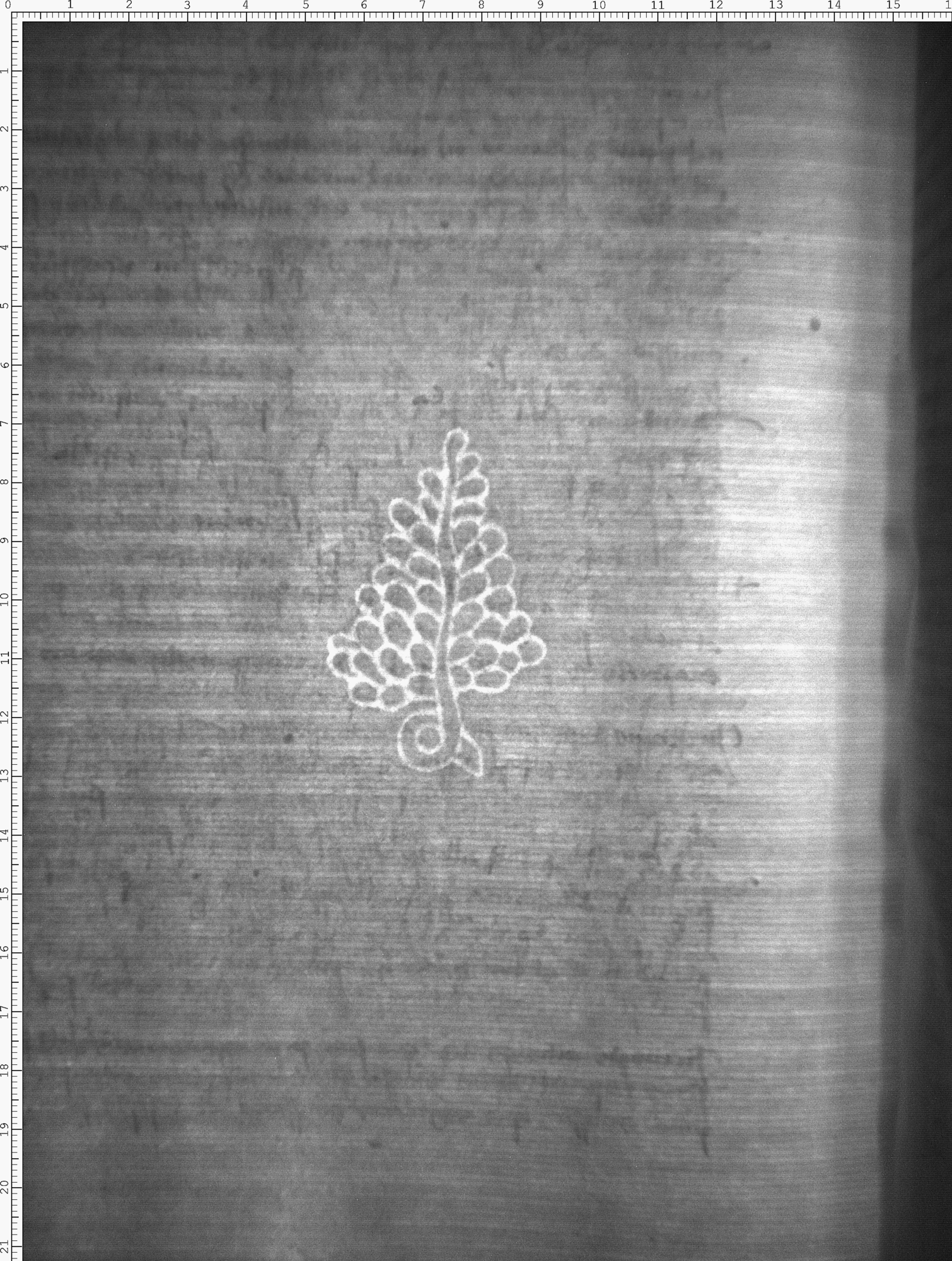 Watermark