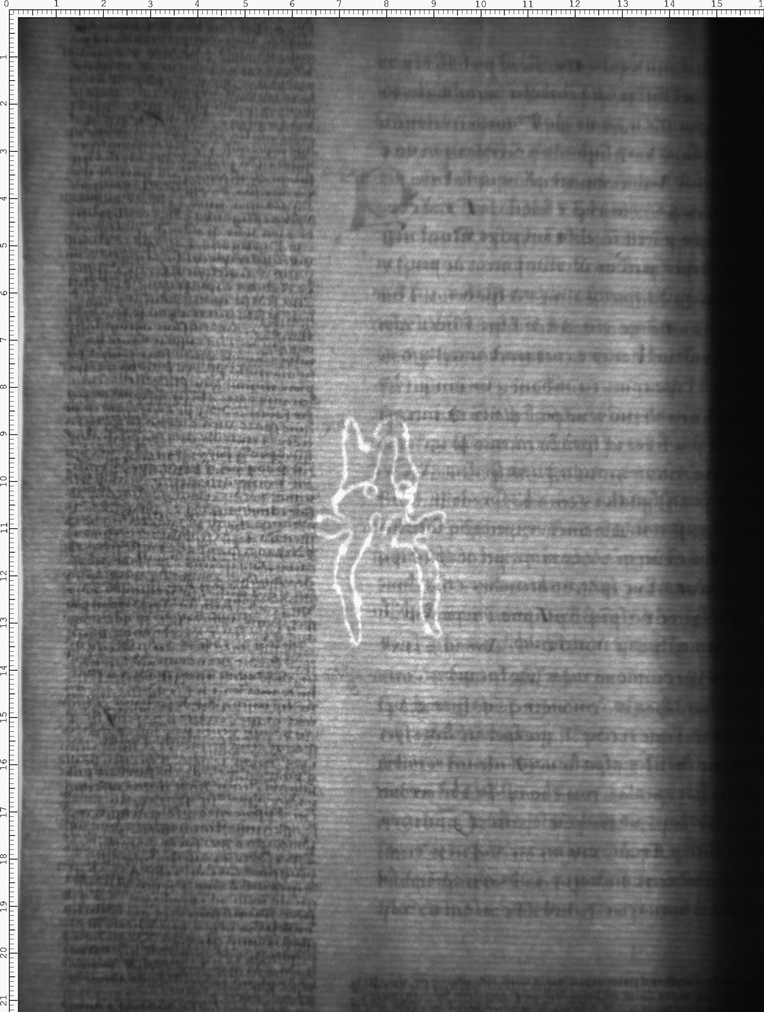 Watermark