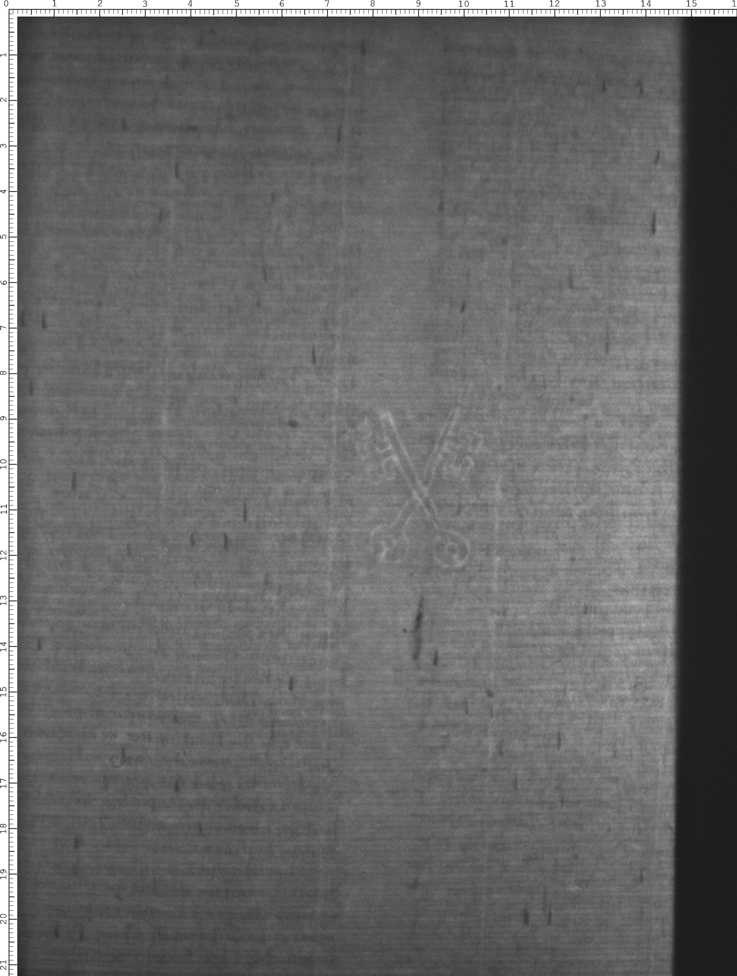 Watermark