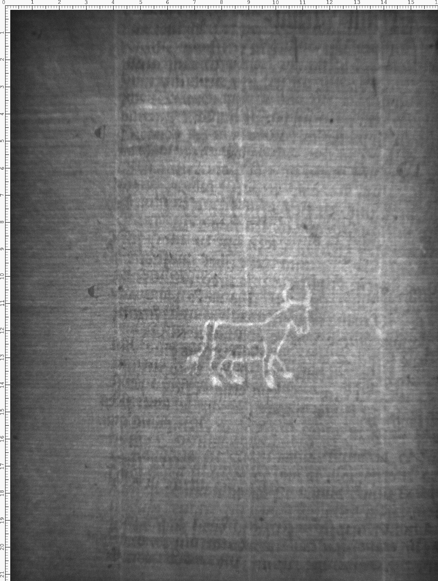 Watermark