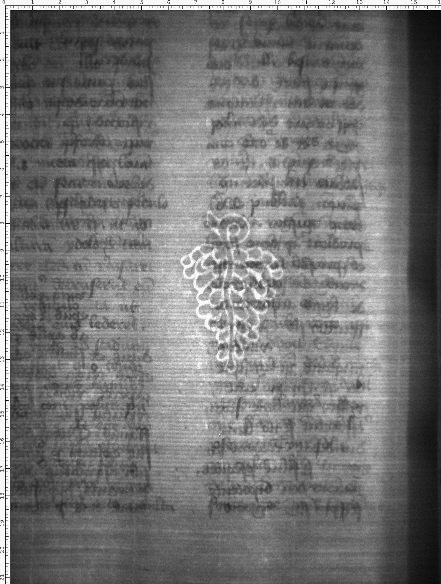 Watermark
