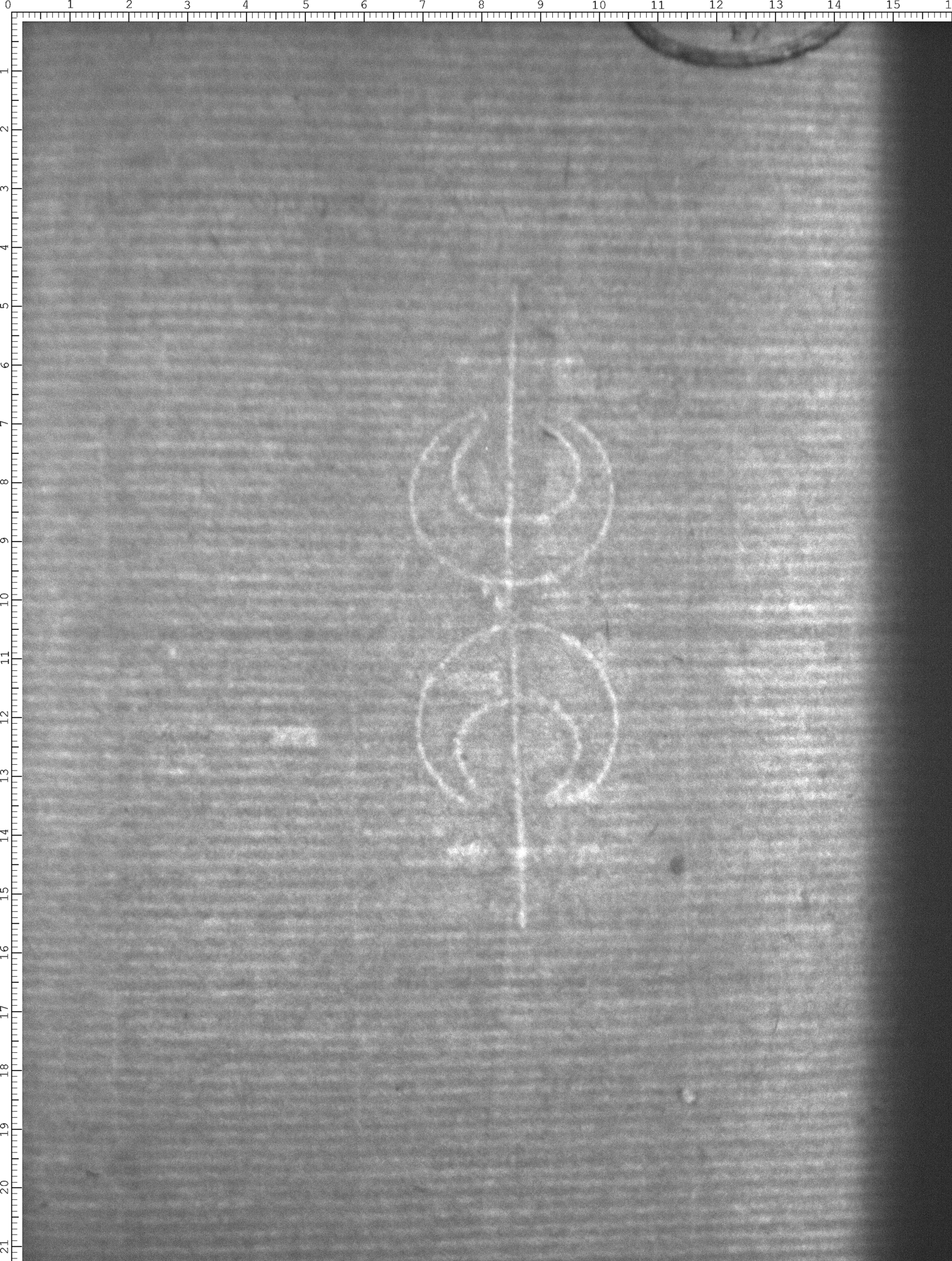 Watermark