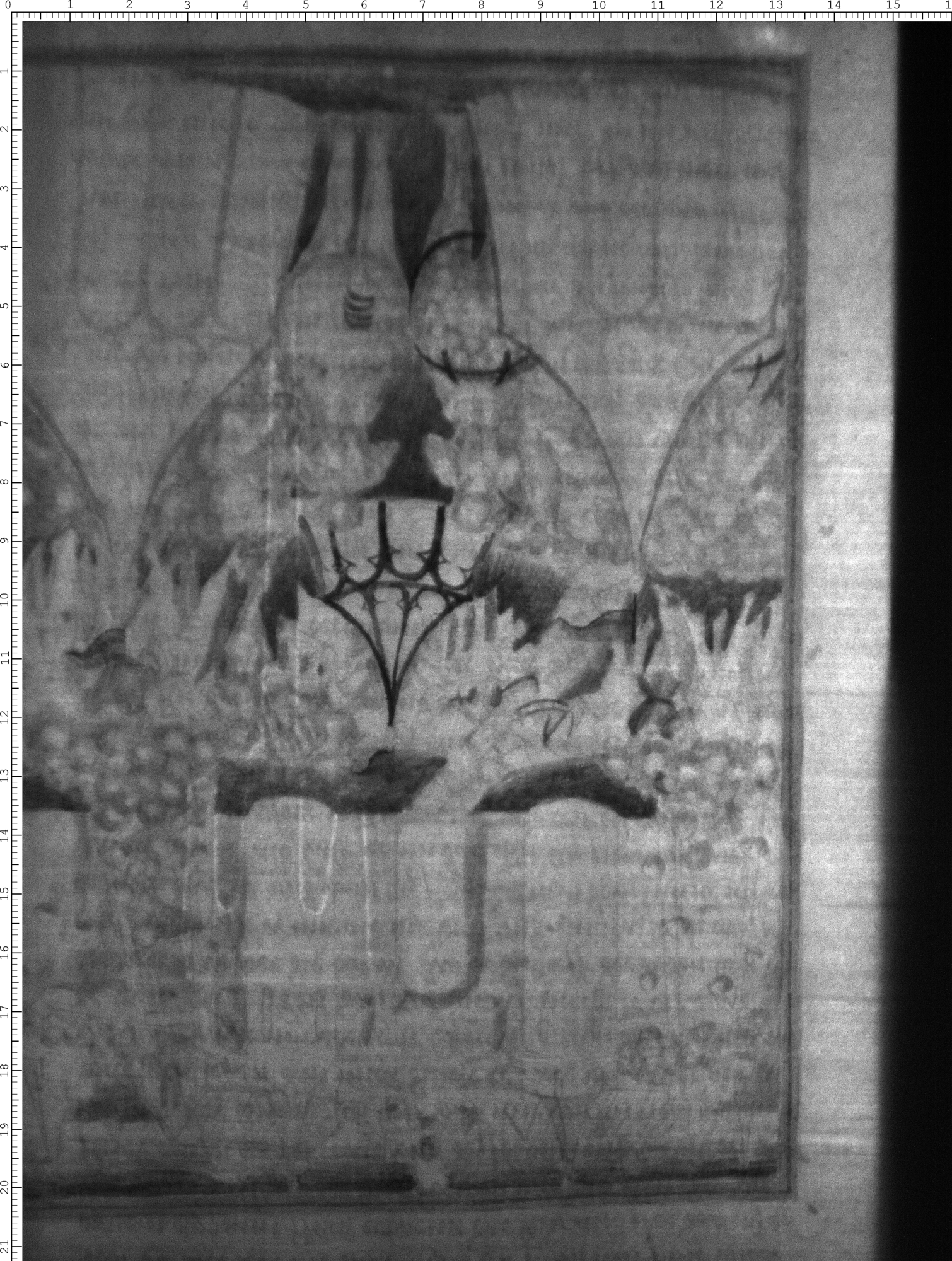 Watermark