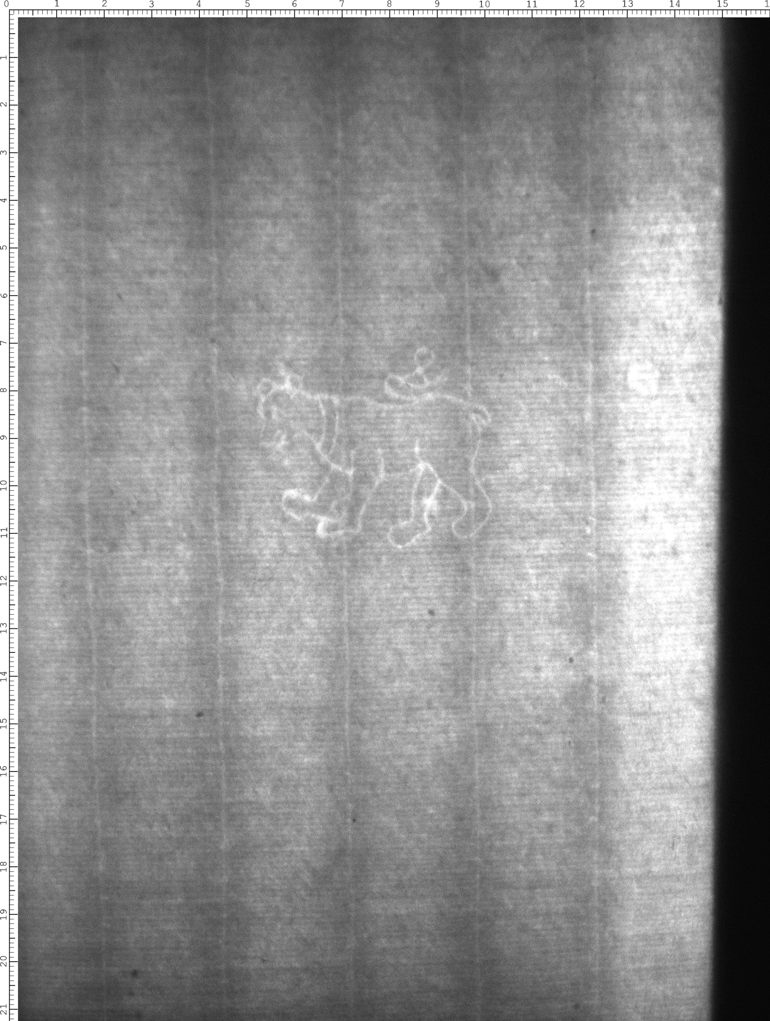 Watermark