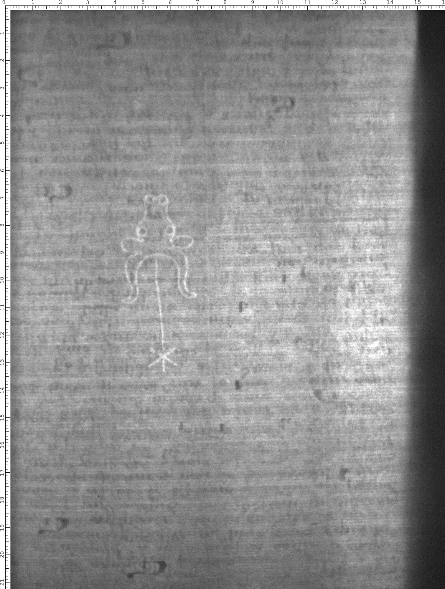 Watermark