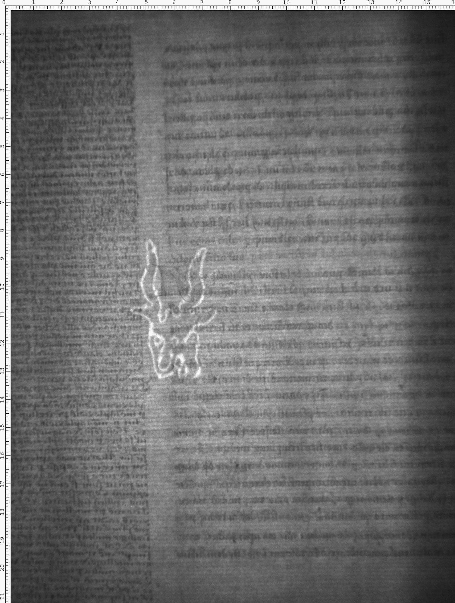 Watermark