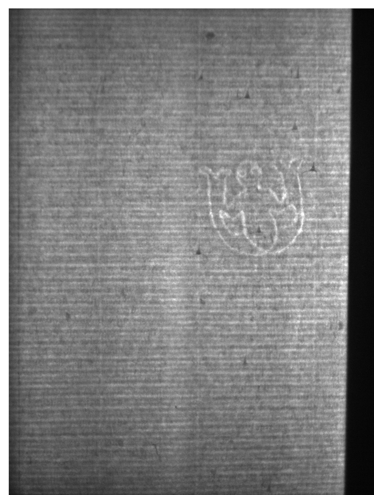 Watermark